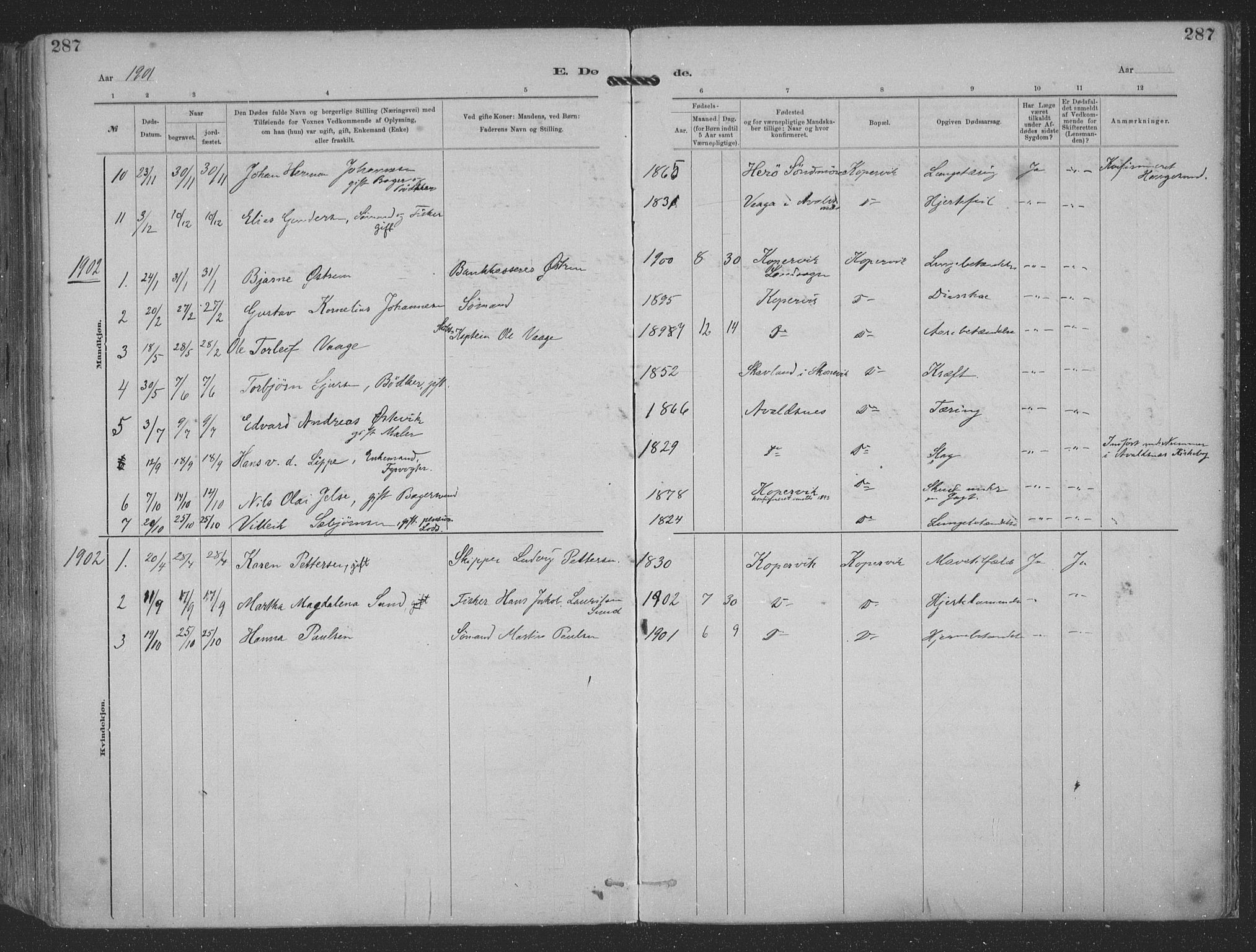 Kopervik sokneprestkontor, SAST/A-101850/H/Ha/Haa/L0001: Parish register (official) no. A 1, 1880-1919, p. 287