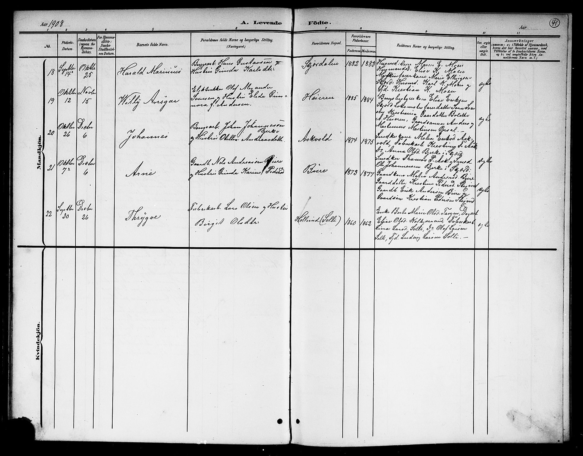 Hole kirkebøker, AV/SAKO-A-228/G/Gb/L0004: Parish register (copy) no. II 4, 1901-1916, p. 41