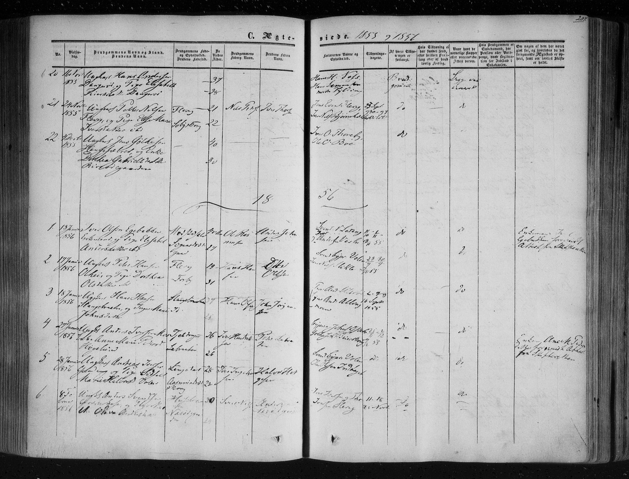 Aremark prestekontor Kirkebøker, SAO/A-10899/F/Fc/L0003: Parish register (official) no. III 3, 1850-1865, p. 207