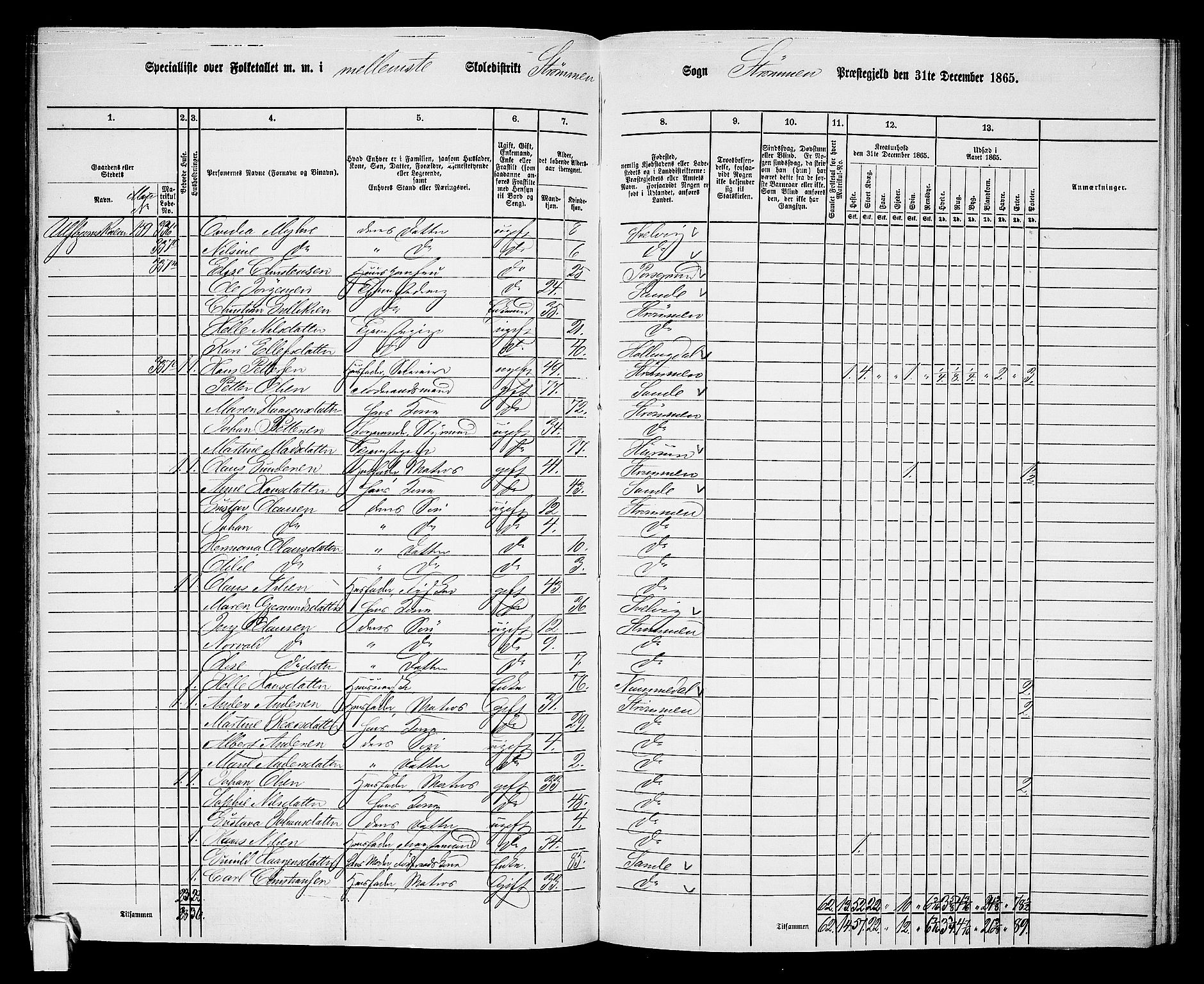 RA, 1865 census for Strømm, 1865, p. 22