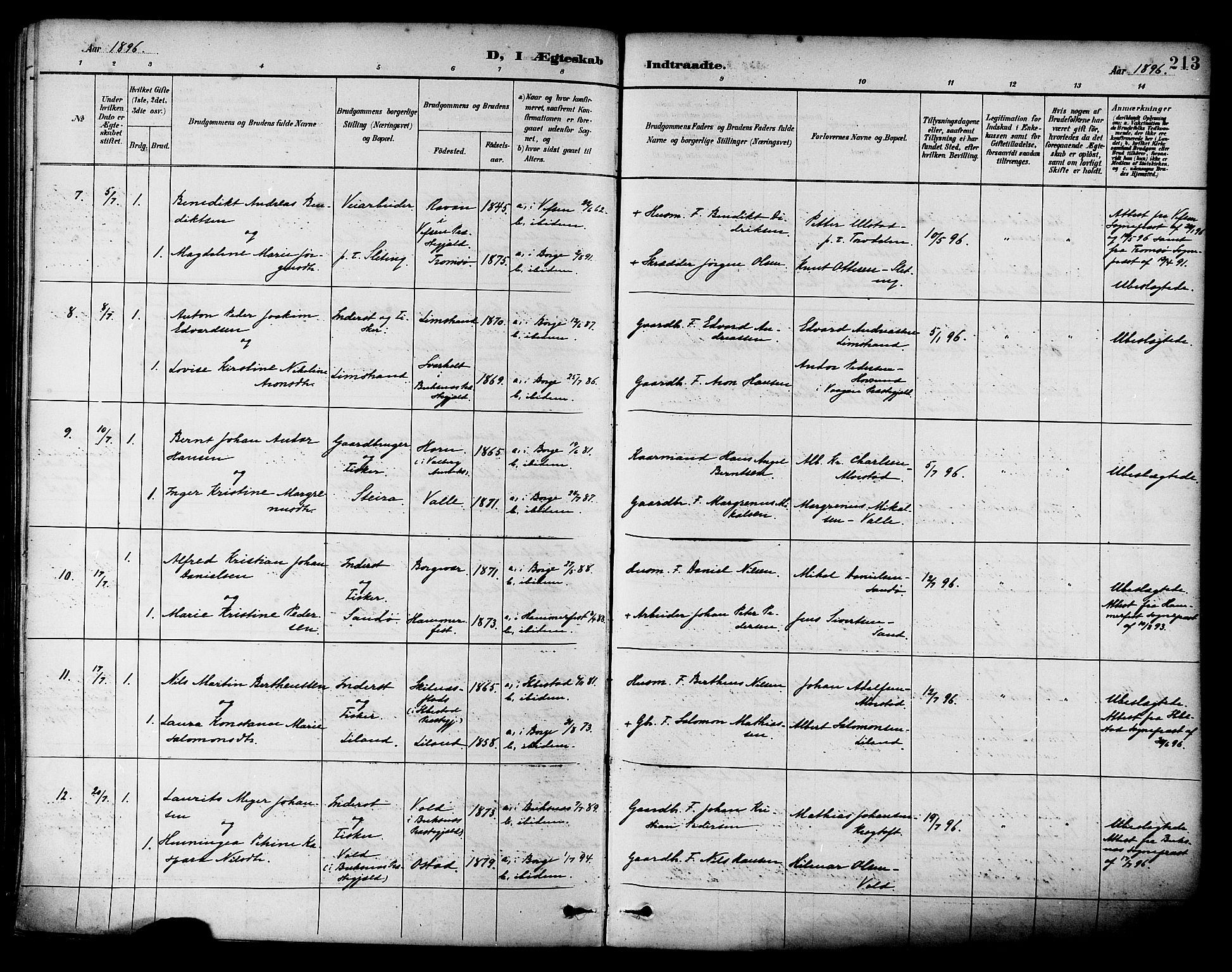 Ministerialprotokoller, klokkerbøker og fødselsregistre - Nordland, AV/SAT-A-1459/880/L1133: Parish register (official) no. 880A07, 1888-1898, p. 213