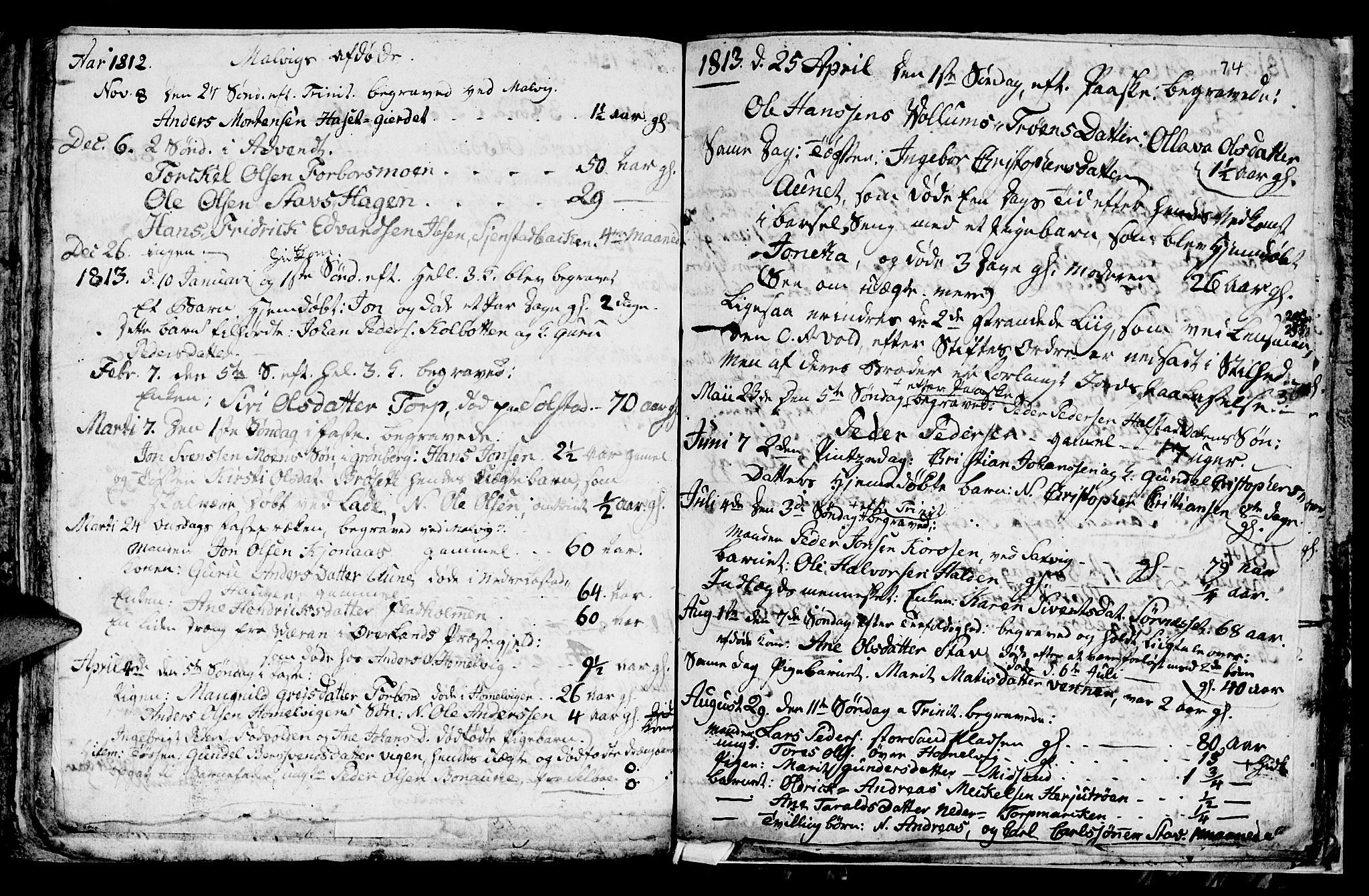 Ministerialprotokoller, klokkerbøker og fødselsregistre - Sør-Trøndelag, SAT/A-1456/616/L0419: Parish register (copy) no. 616C02, 1797-1816, p. 74