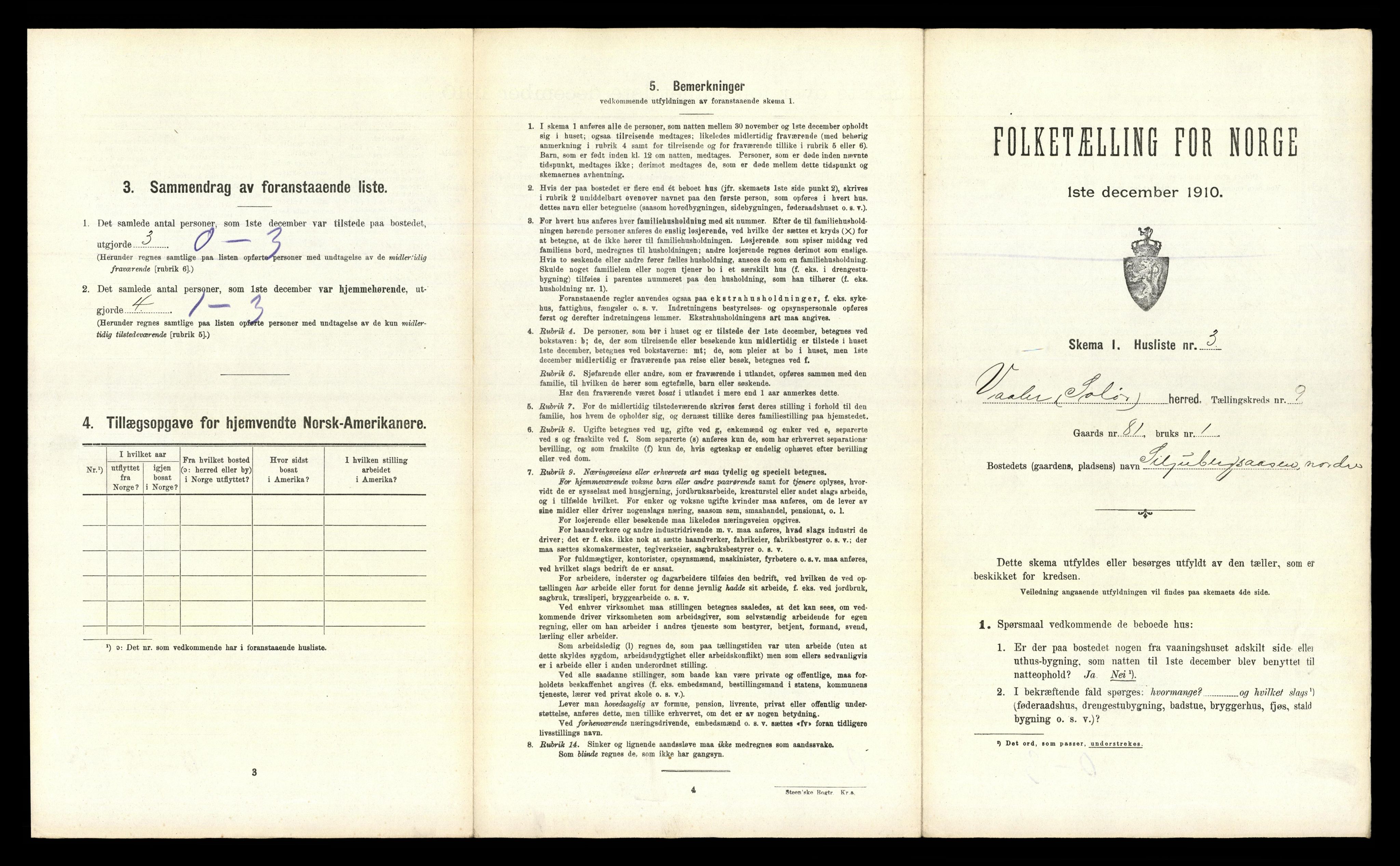 RA, 1910 census for Våler, 1910, p. 1271