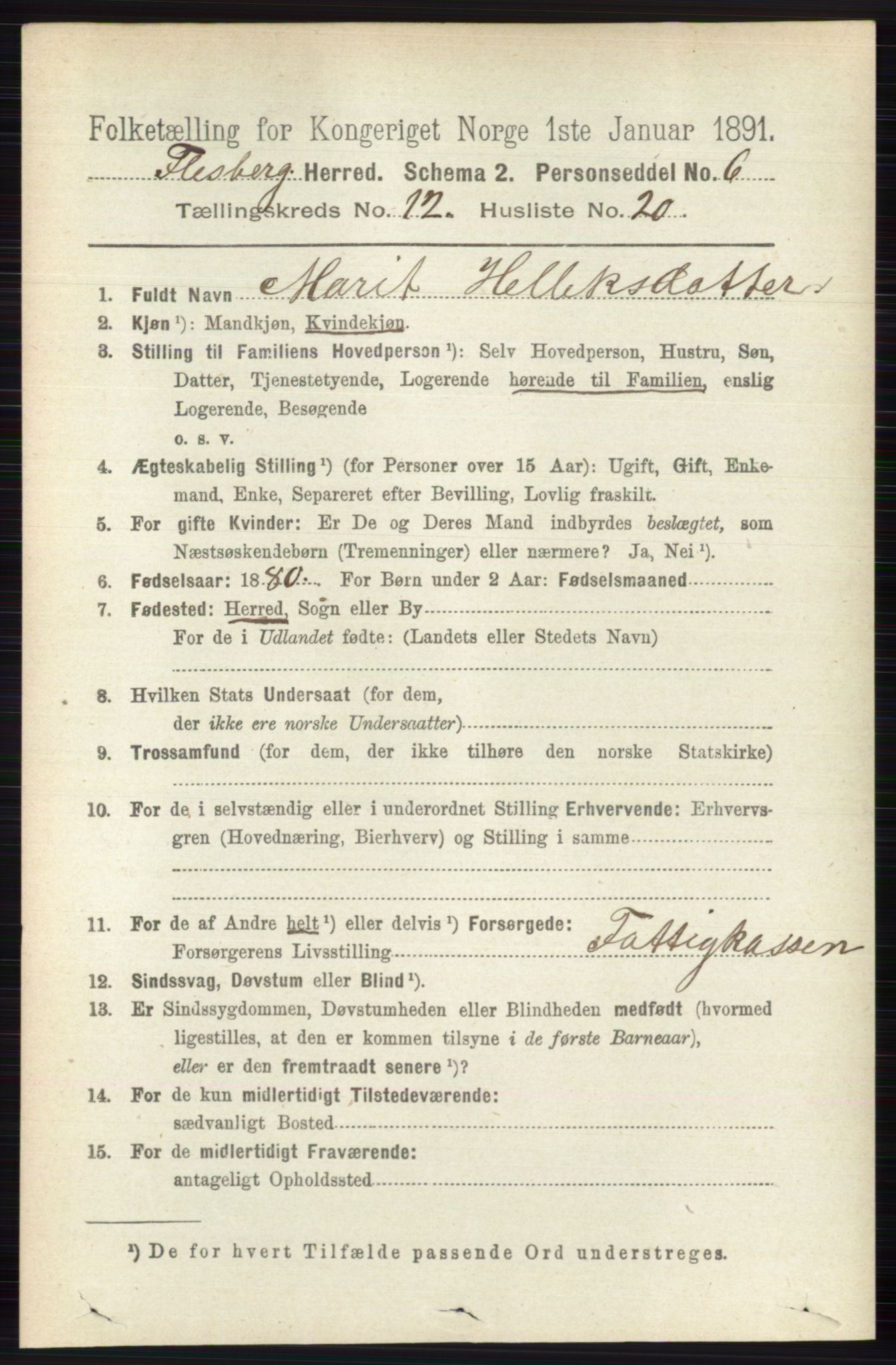 RA, 1891 census for 0631 Flesberg, 1891, p. 2178