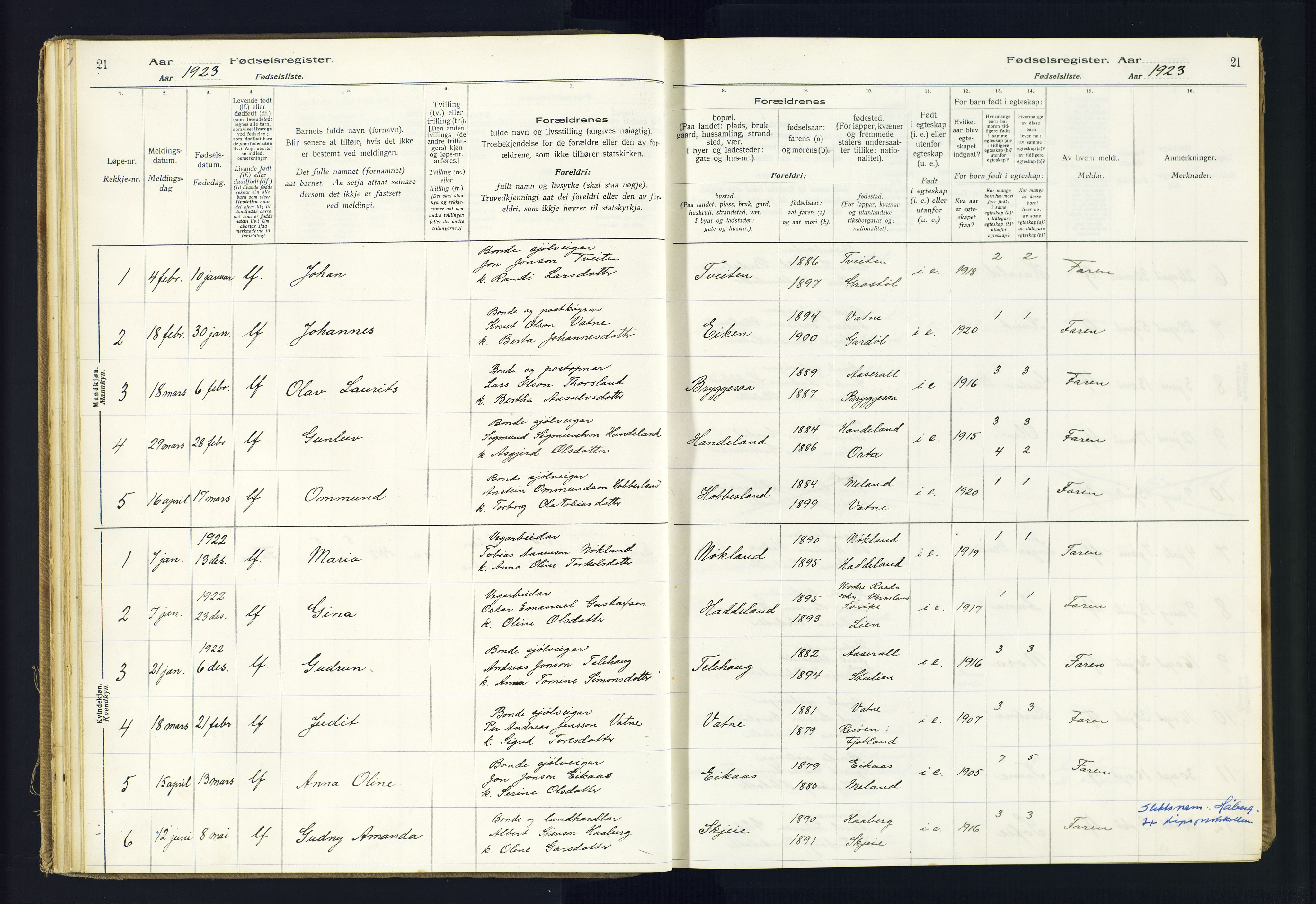 Hægebostad sokneprestkontor, AV/SAK-1111-0024/J/Ja/L0002: Birth register no. II.6.8, 1916-1982, p. 21