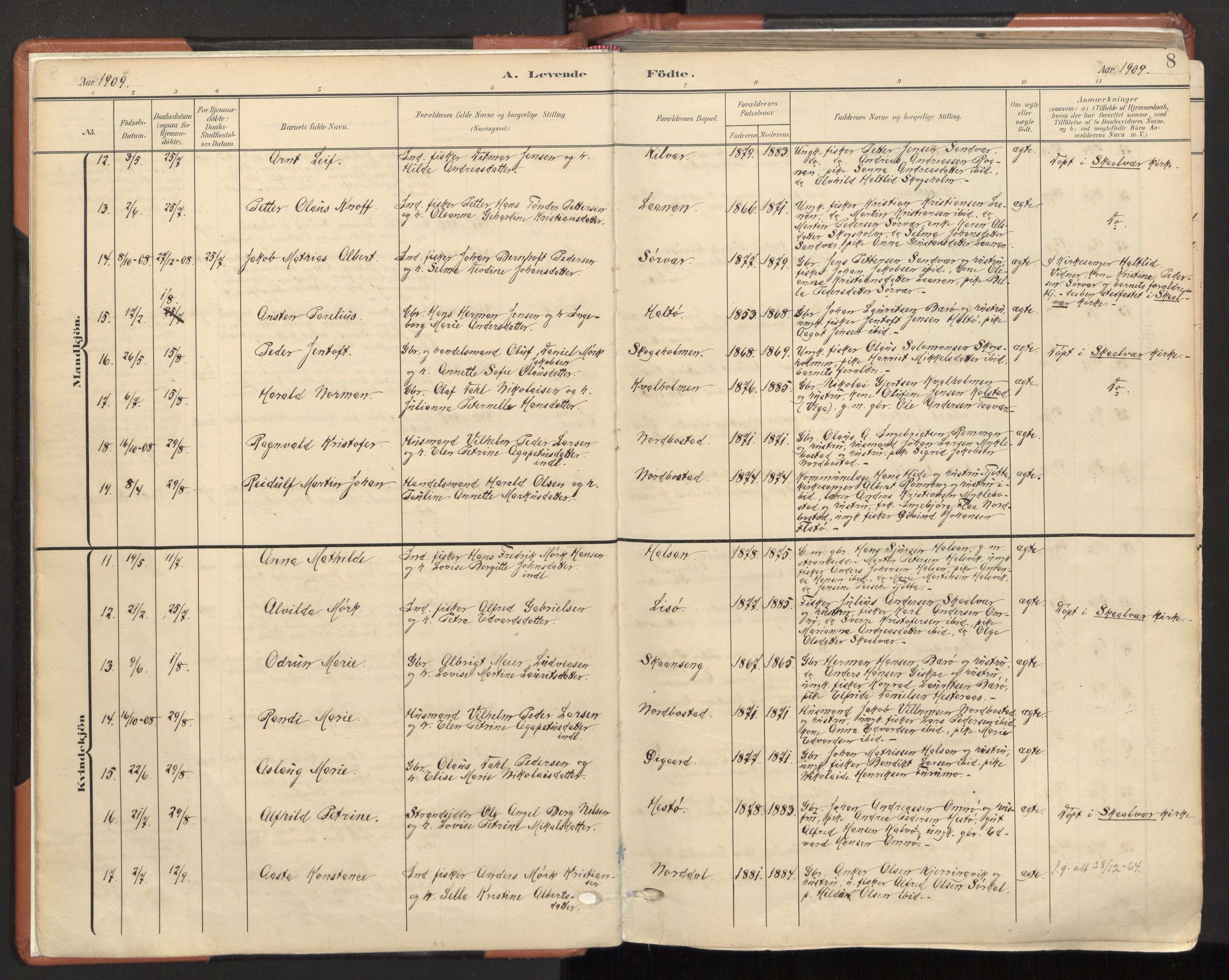 Ministerialprotokoller, klokkerbøker og fødselsregistre - Nordland, AV/SAT-A-1459/817/L0265: Parish register (official) no. 817A05, 1908-1944, p. 8