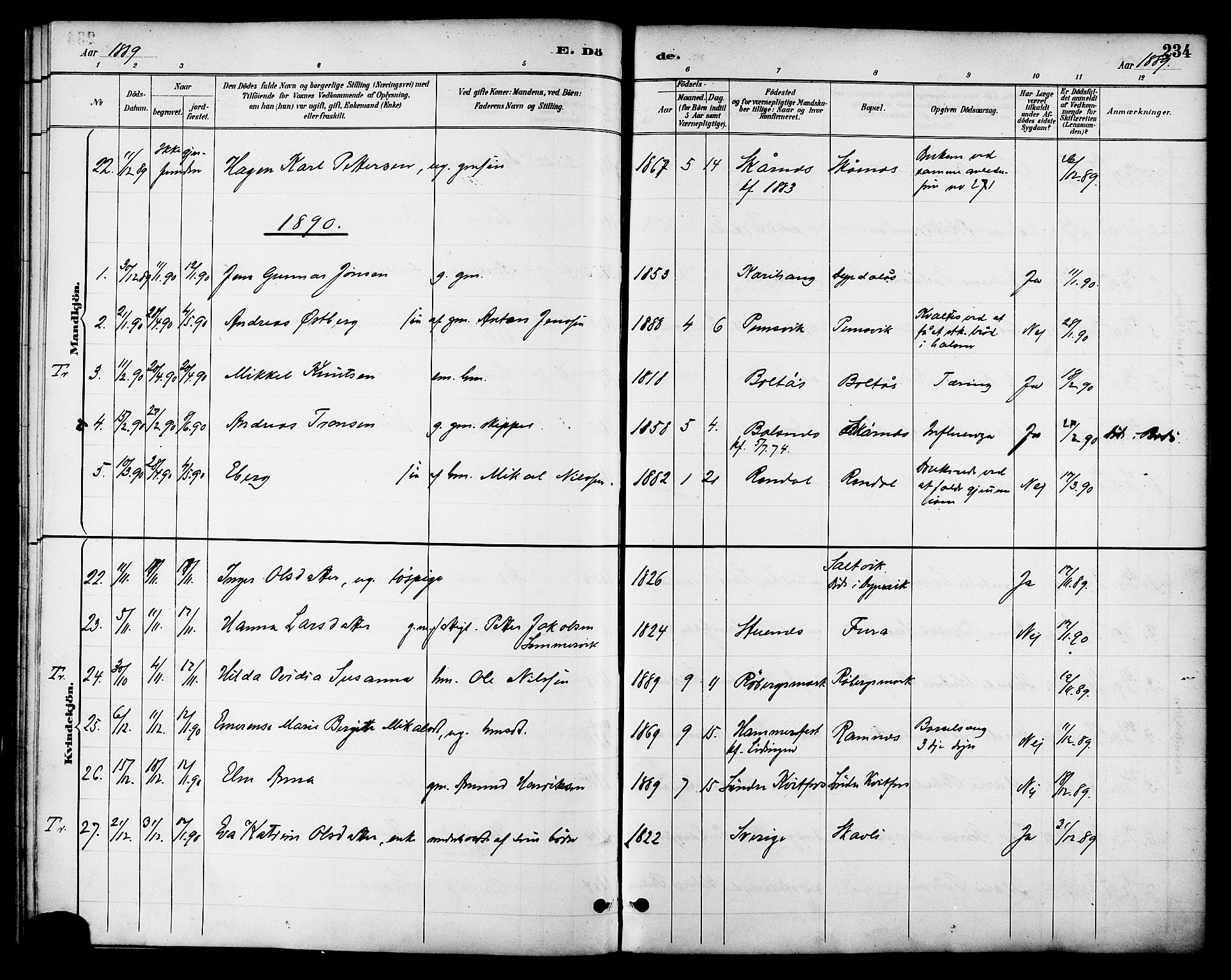 Ministerialprotokoller, klokkerbøker og fødselsregistre - Nordland, AV/SAT-A-1459/863/L0898: Parish register (official) no. 863A10, 1886-1897, p. 234