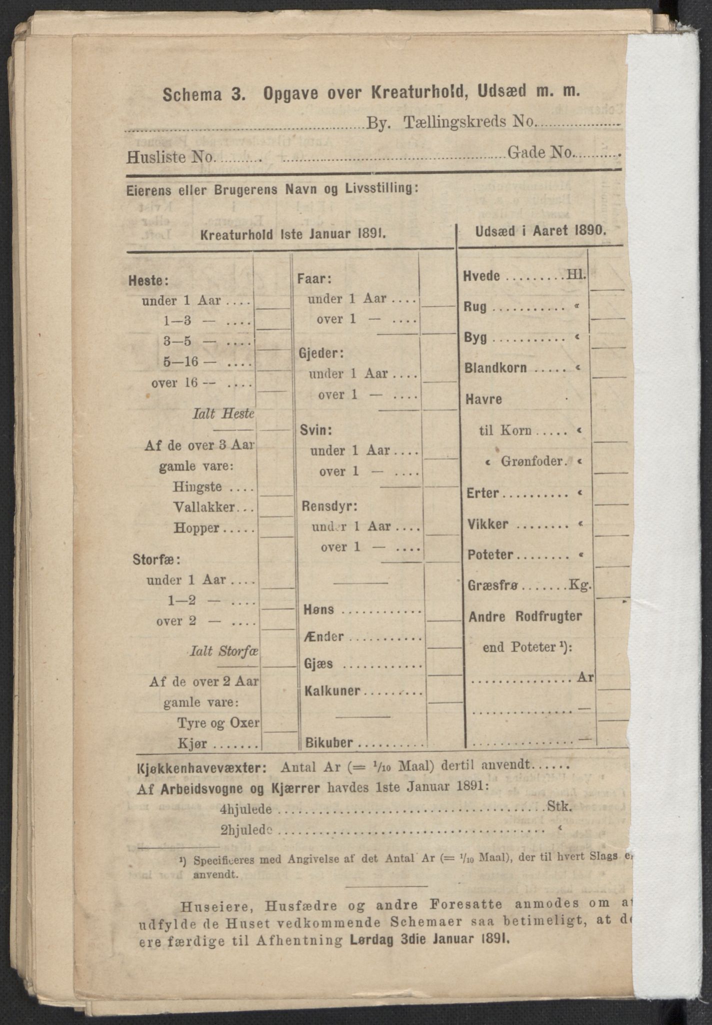 RA, 1891 Census for 1301 Bergen, 1891, p. 4821