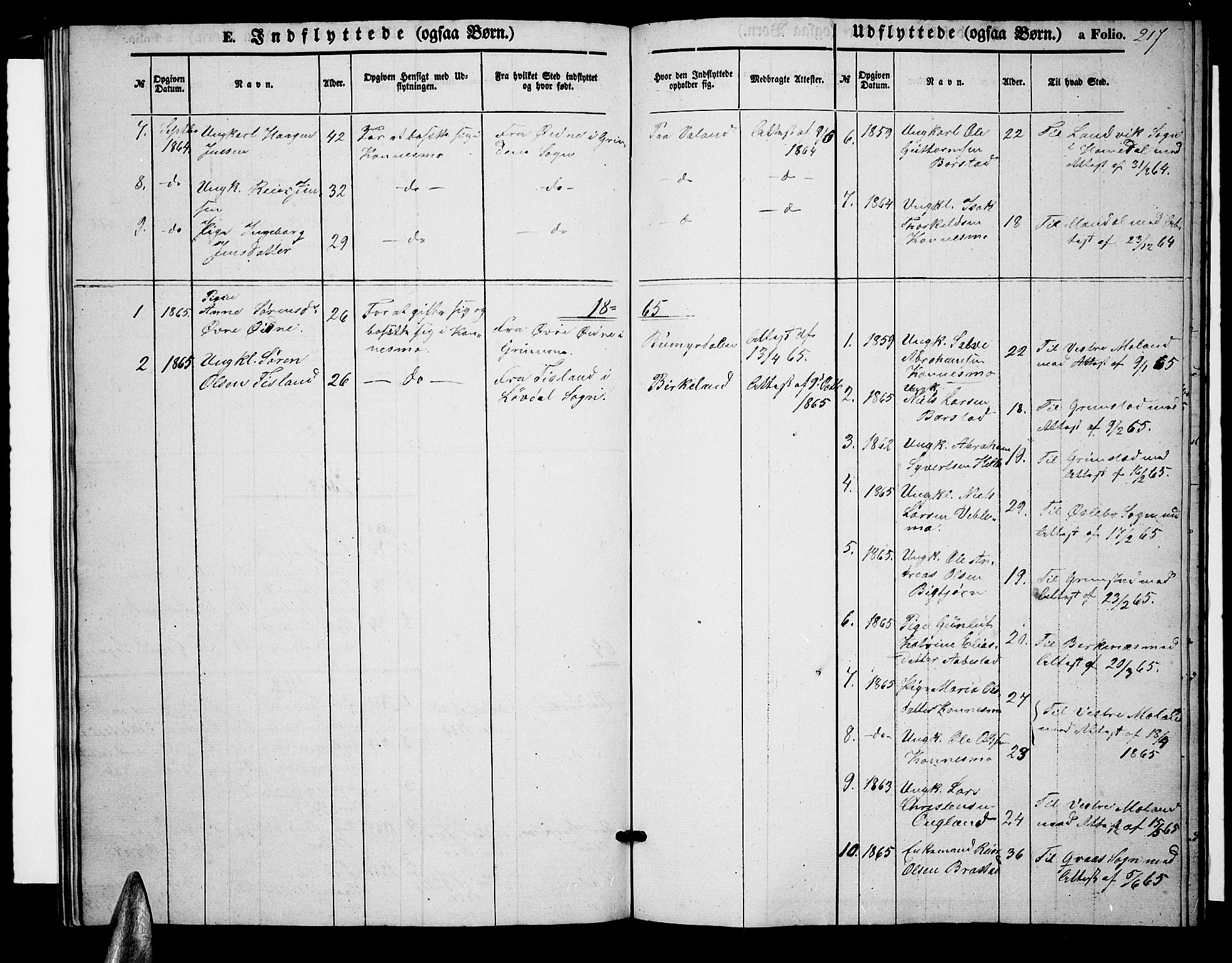 Nord-Audnedal sokneprestkontor, SAK/1111-0032/F/Fb/Fba/L0002: Parish register (copy) no. B 2, 1856-1882, p. 217