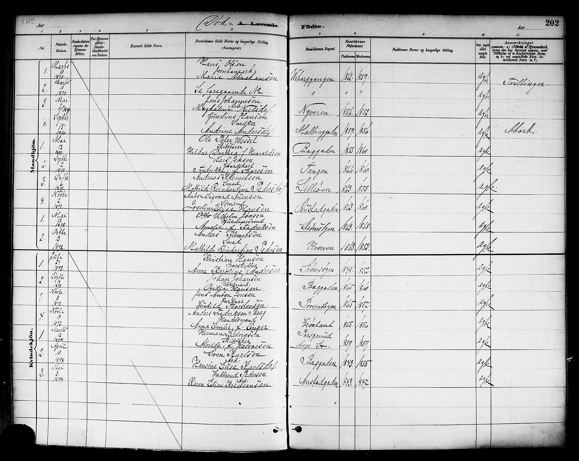 Strømsø kirkebøker, SAKO/A-246/F/Fa/L0023: Parish register (official) no. I 23, 1885-1894, p. 202