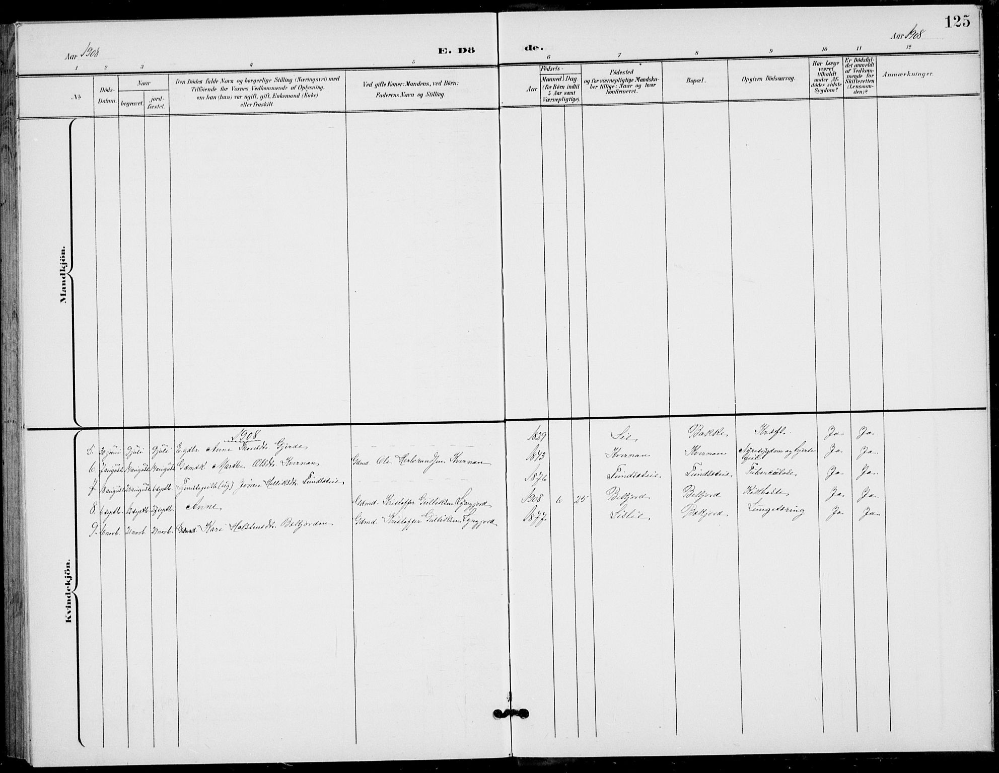 Flesberg kirkebøker, AV/SAKO-A-18/G/Ga/L0005: Parish register (copy) no. I 5, 1899-1908, p. 125