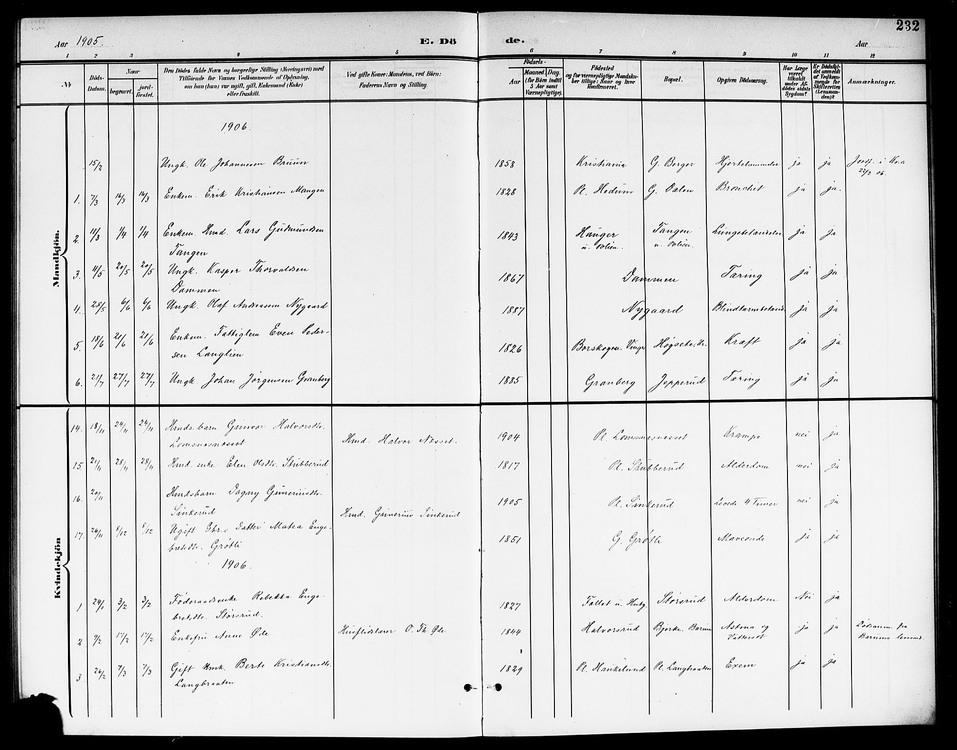 Aurskog prestekontor Kirkebøker, AV/SAO-A-10304a/G/Ga/L0004: Parish register (copy) no. I 4, 1901-1921, p. 232