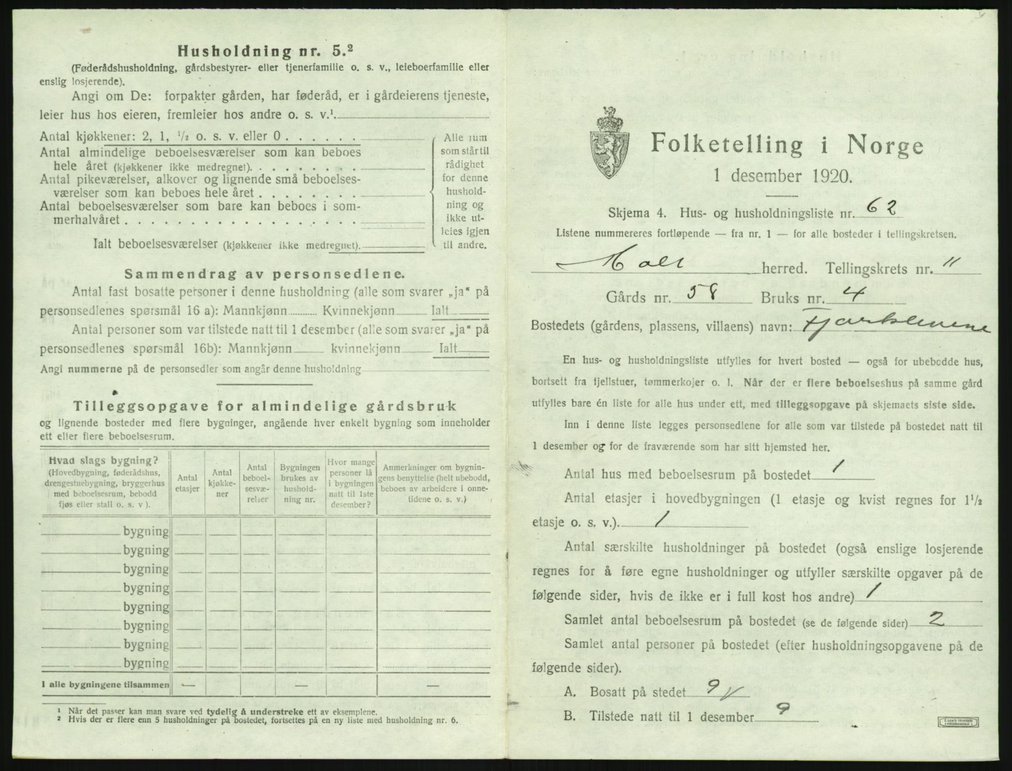 SAK, 1920 census for Holt, 1920, p. 1154