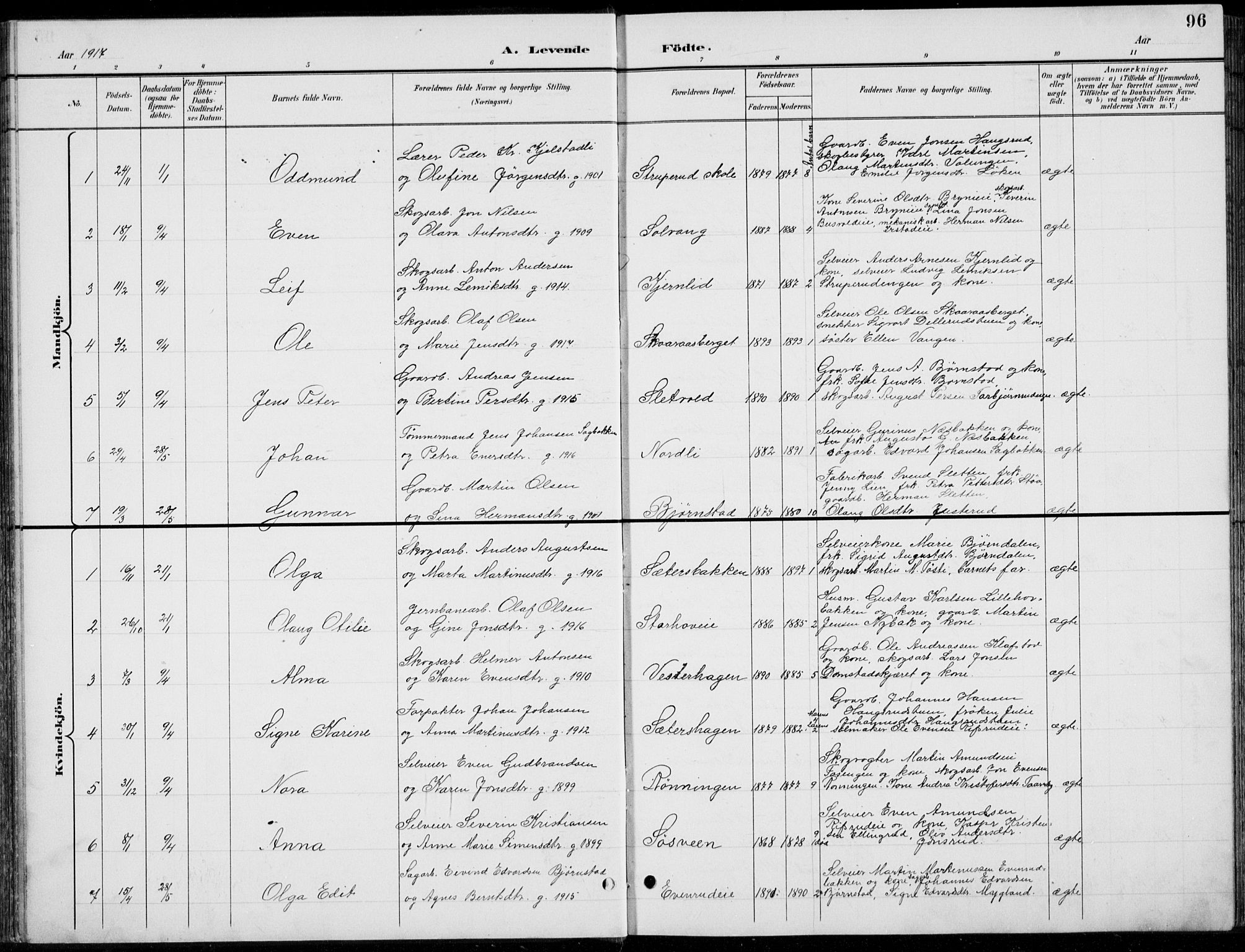 Romedal prestekontor, AV/SAH-PREST-004/L/L0013: Parish register (copy) no. 13, 1896-1937, p. 96