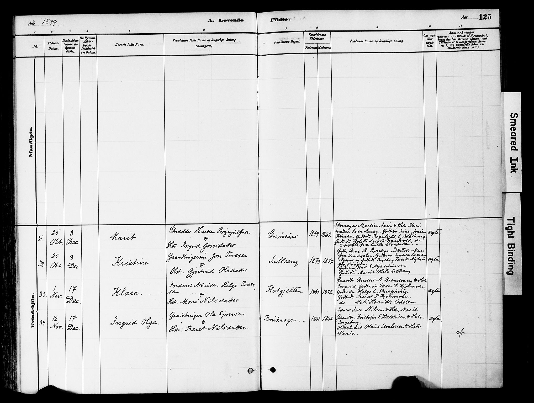 Tynset prestekontor, AV/SAH-PREST-058/H/Ha/Haa/L0022: Parish register (official) no. 22, 1880-1899, p. 125