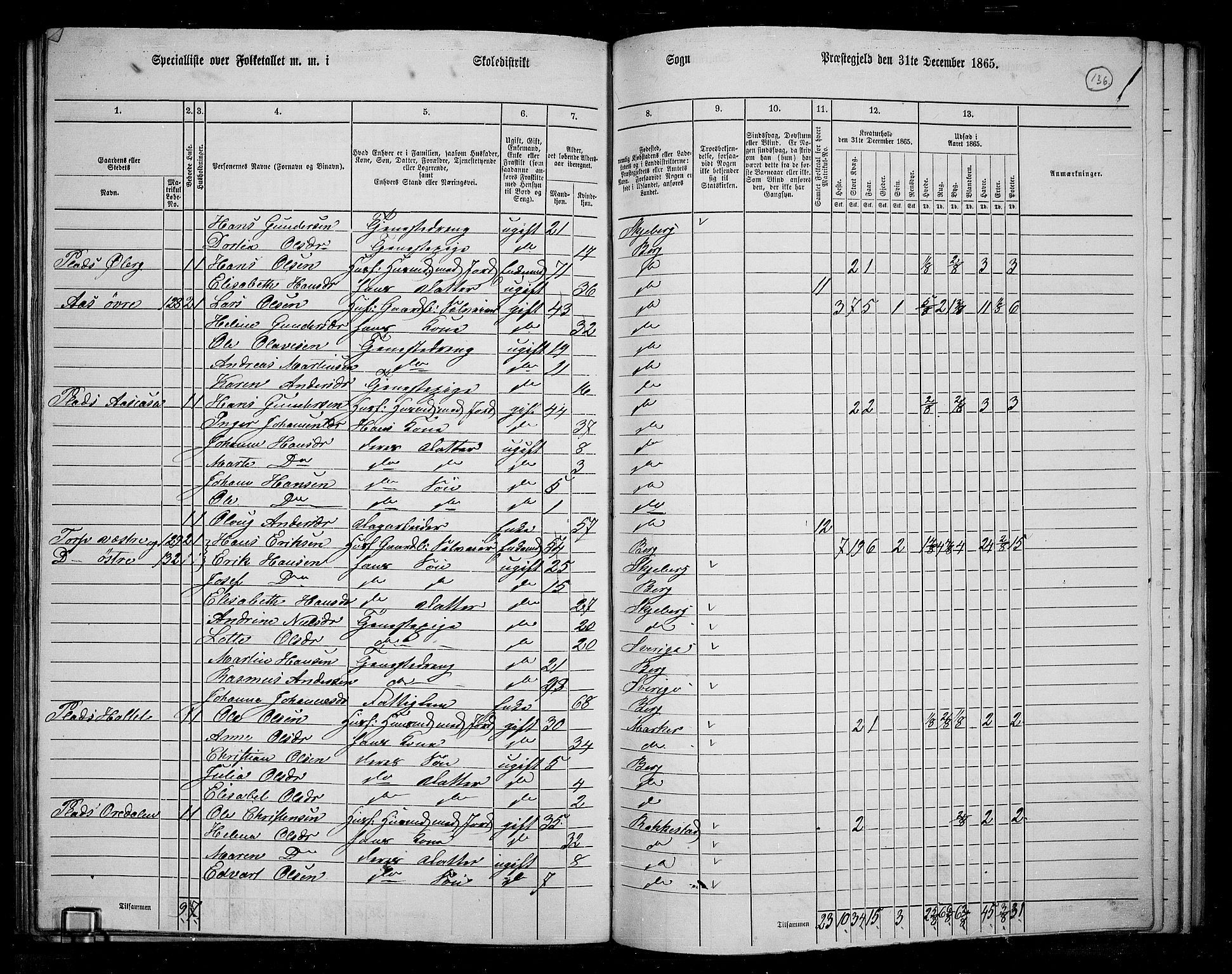 RA, 1865 census for Berg, 1865, p. 119