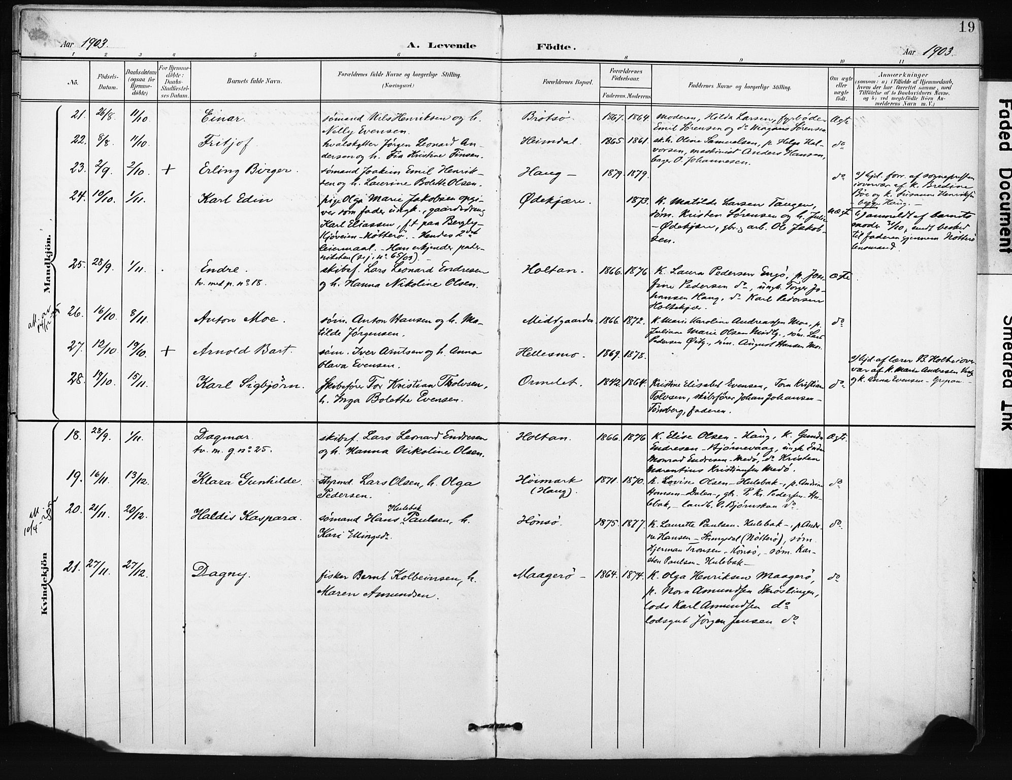 Tjøme kirkebøker, AV/SAKO-A-328/F/Fa/L0005: Parish register (official) no. I 5, 1901-1909, p. 19