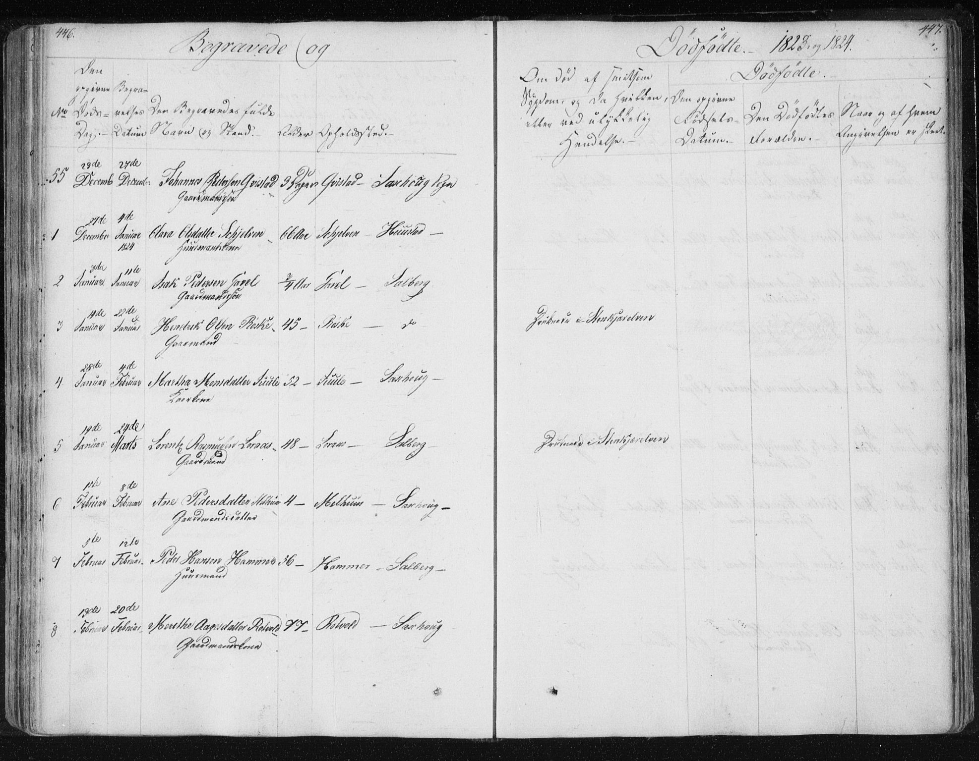 Ministerialprotokoller, klokkerbøker og fødselsregistre - Nord-Trøndelag, SAT/A-1458/730/L0276: Parish register (official) no. 730A05, 1822-1830, p. 446-447