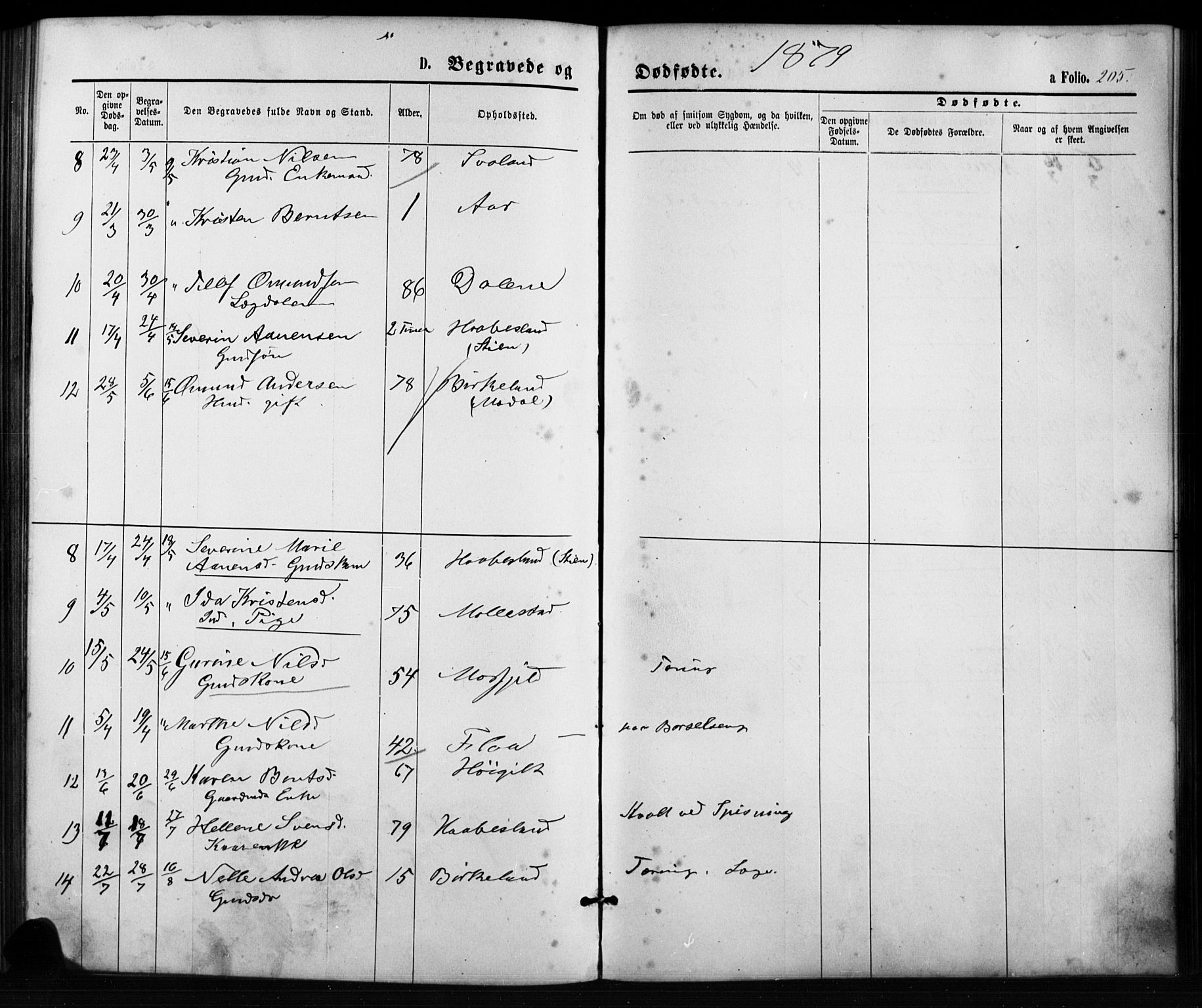Birkenes sokneprestkontor, SAK/1111-0004/F/Fb/L0003: Parish register (copy) no. B 3, 1876-1892, p. 205