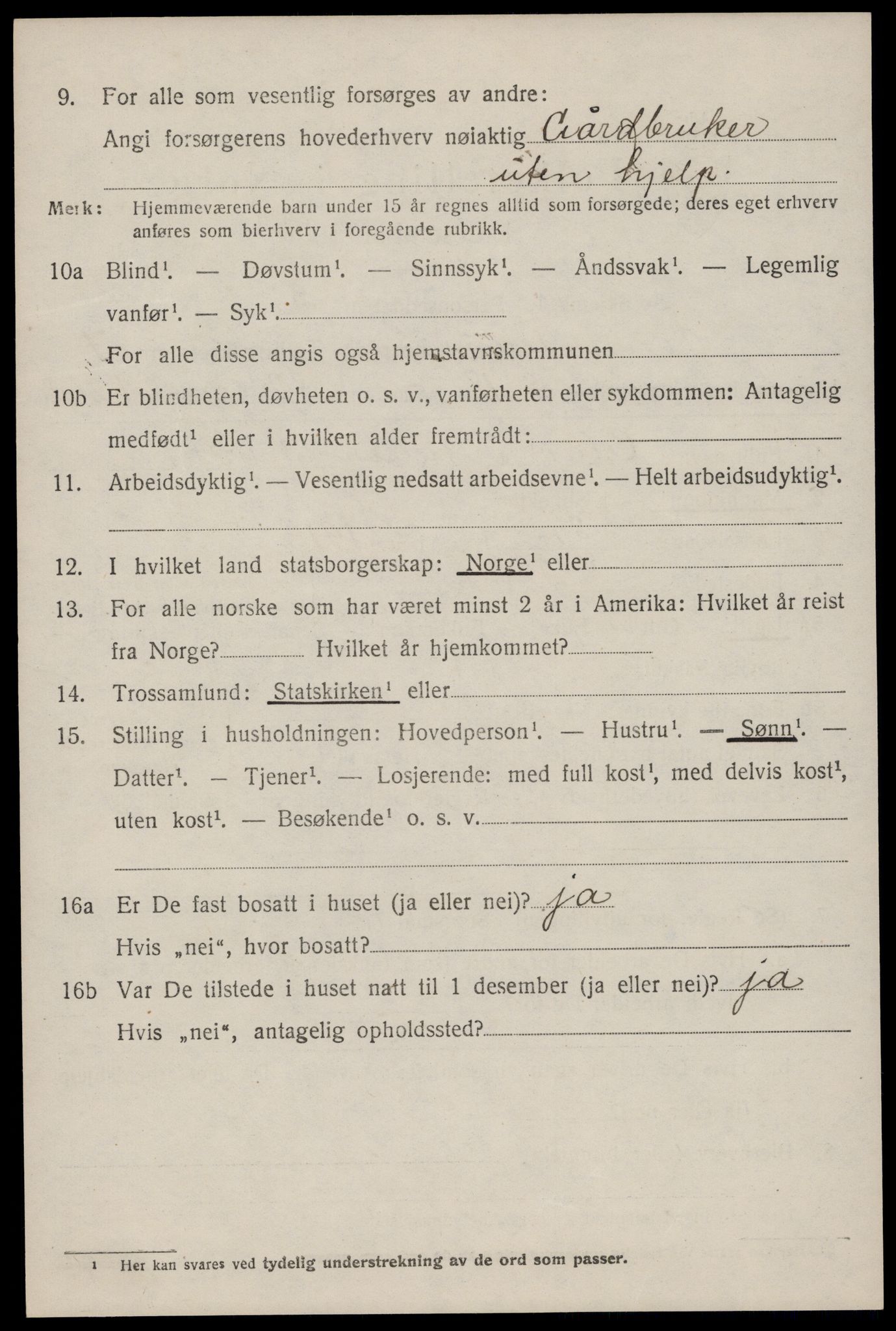 SAKO, 1920 census for Tinn, 1920, p. 5039