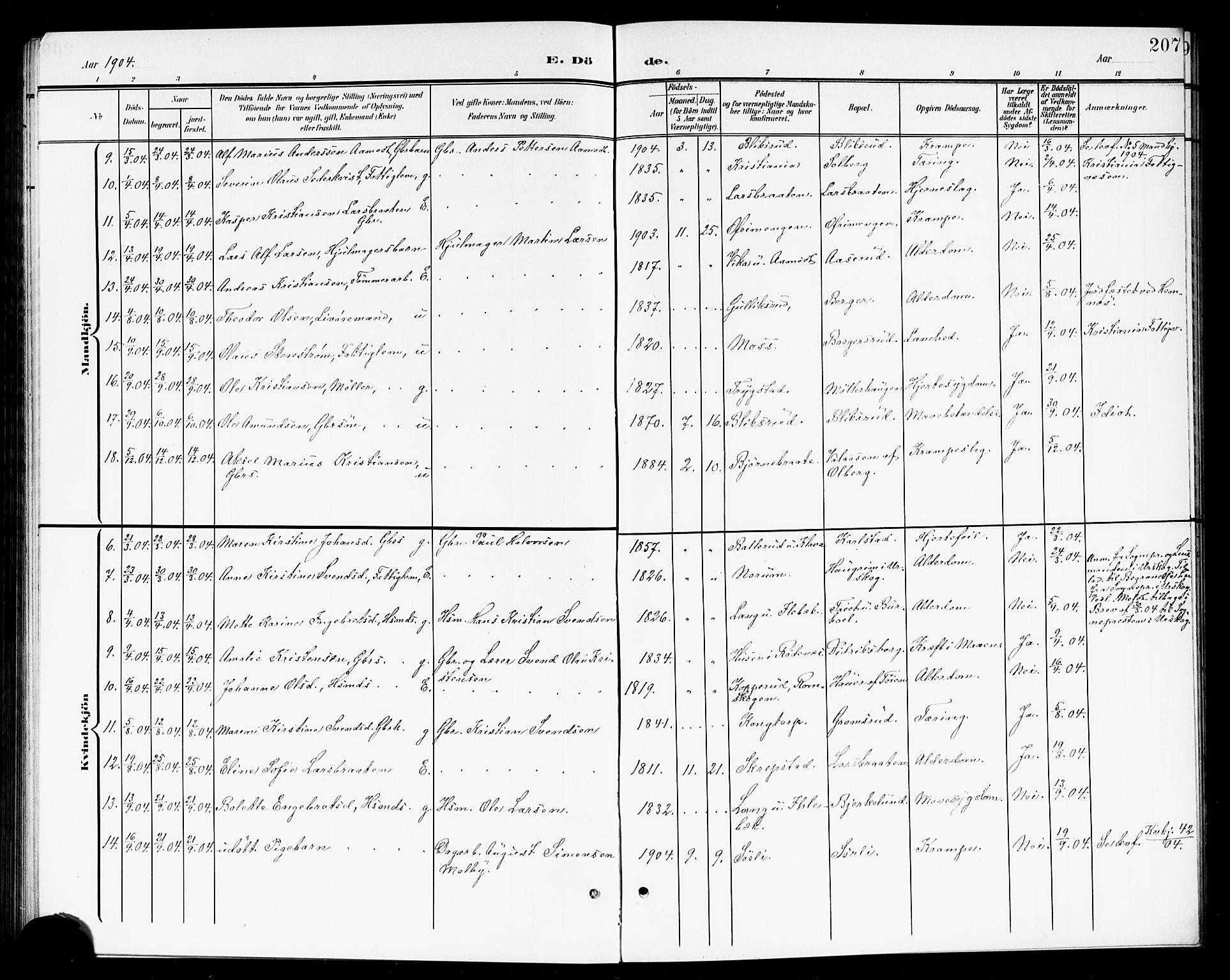 Høland prestekontor Kirkebøker, SAO/A-10346a/G/Ga/L0007: Parish register (copy) no. I 7, 1902-1914, p. 207