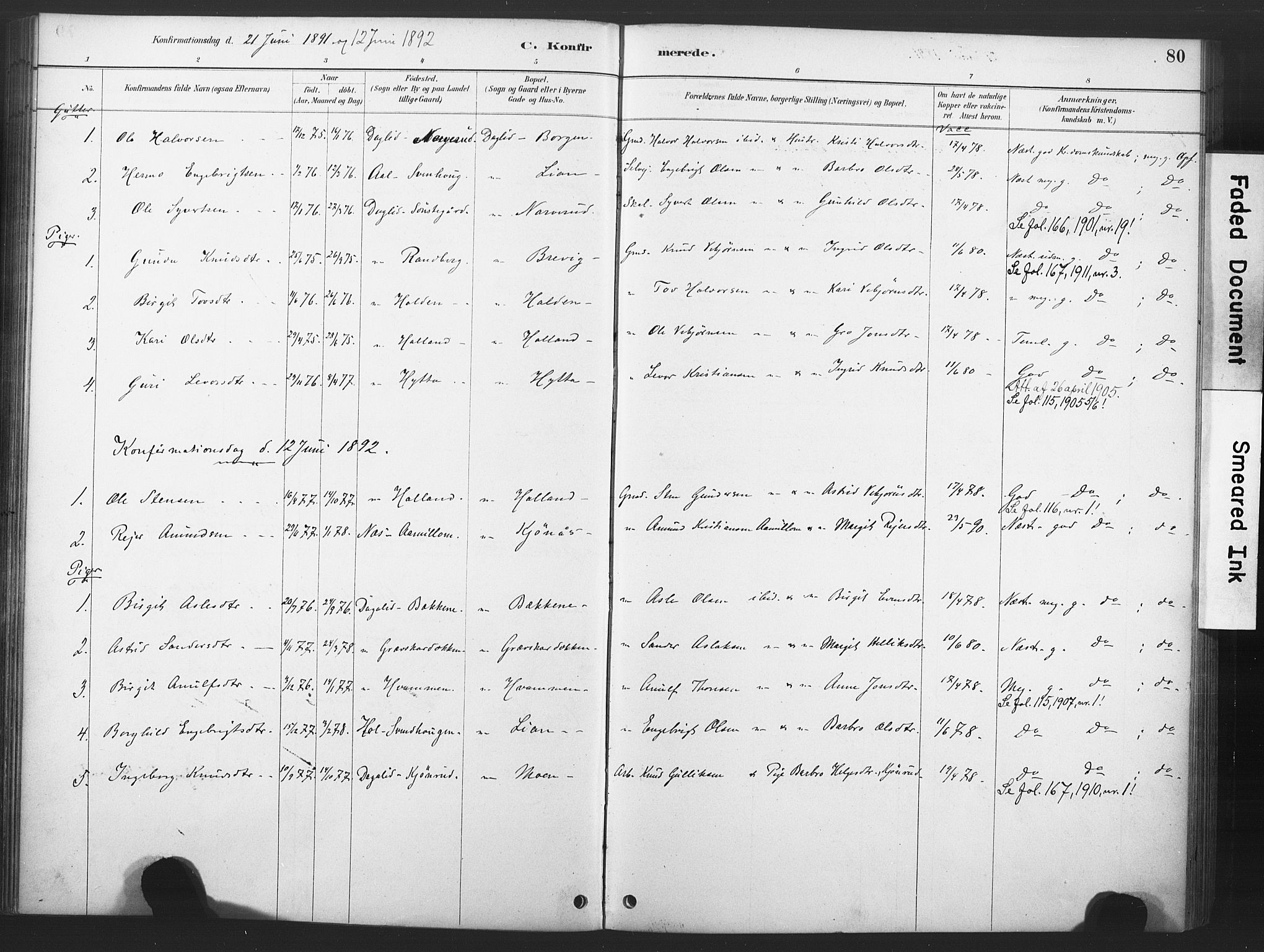 Nore kirkebøker, AV/SAKO-A-238/F/Fd/L0001: Parish register (official) no. IV 1, 1878-1918, p. 80