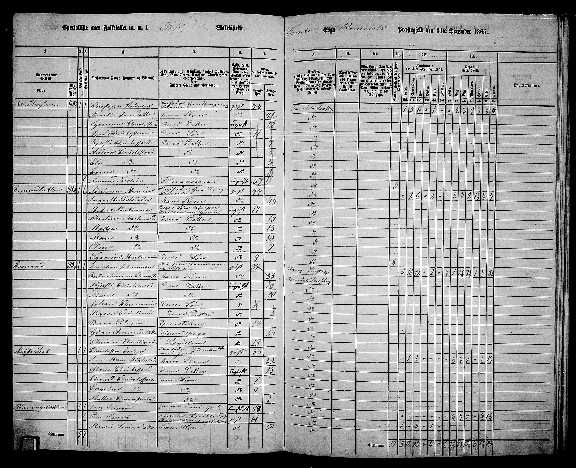 RA, 1865 census for Romedal, 1865, p. 169