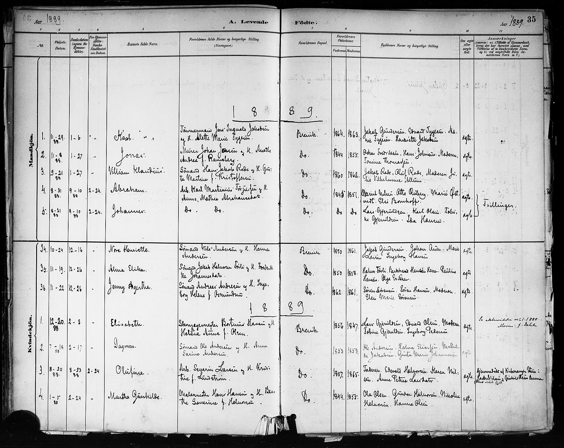 Brevik kirkebøker, SAKO/A-255/F/Fa/L0007: Parish register (official) no. 7, 1882-1900, p. 35