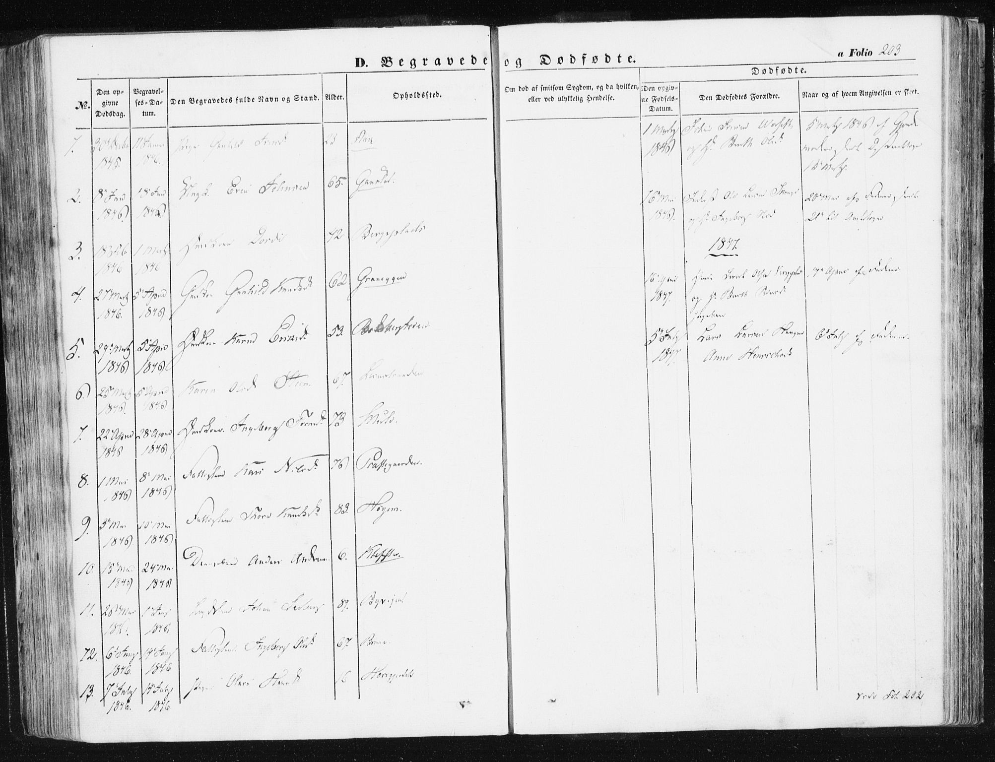 Ministerialprotokoller, klokkerbøker og fødselsregistre - Sør-Trøndelag, AV/SAT-A-1456/612/L0376: Parish register (official) no. 612A08, 1846-1859, p. 203