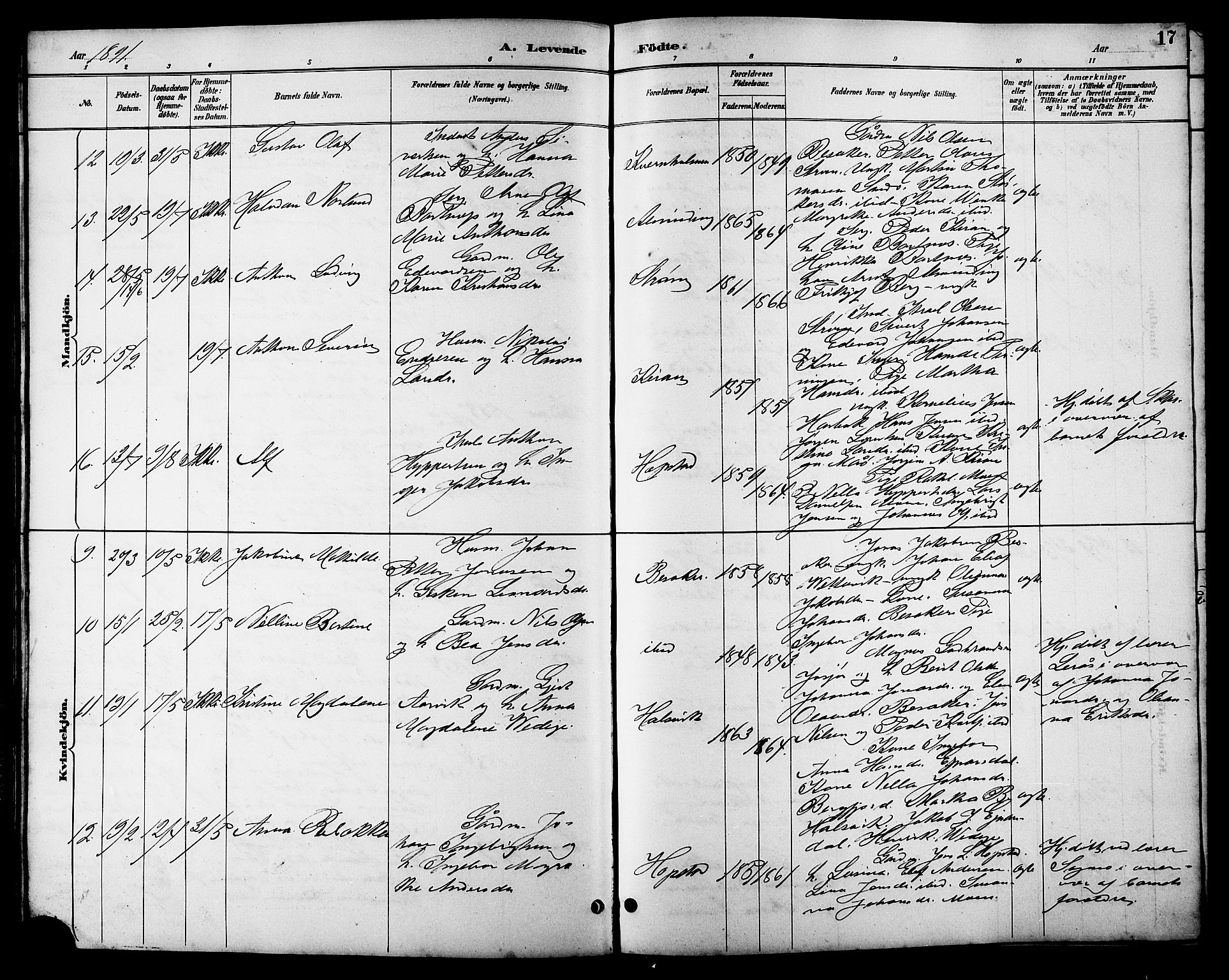 Ministerialprotokoller, klokkerbøker og fødselsregistre - Sør-Trøndelag, AV/SAT-A-1456/657/L0716: Parish register (copy) no. 657C03, 1889-1904, p. 17