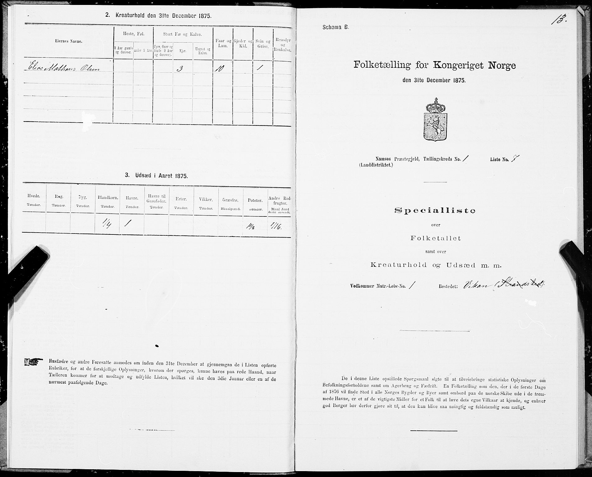 SAT, 1875 census for 1745L Namsos/Vemundvik og Sævik, 1875, p. 1013