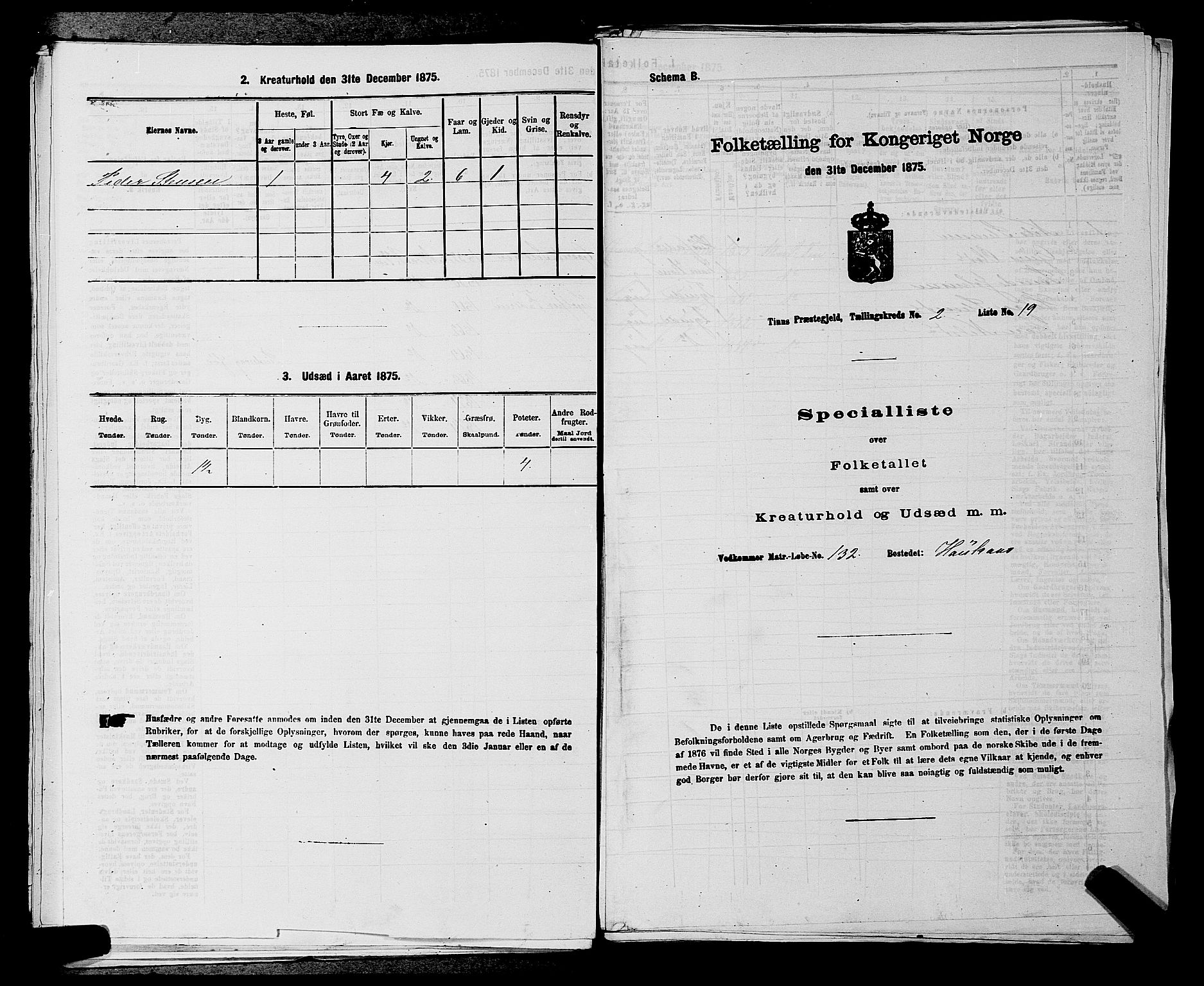 SAKO, 1875 census for 0826P Tinn, 1875, p. 204