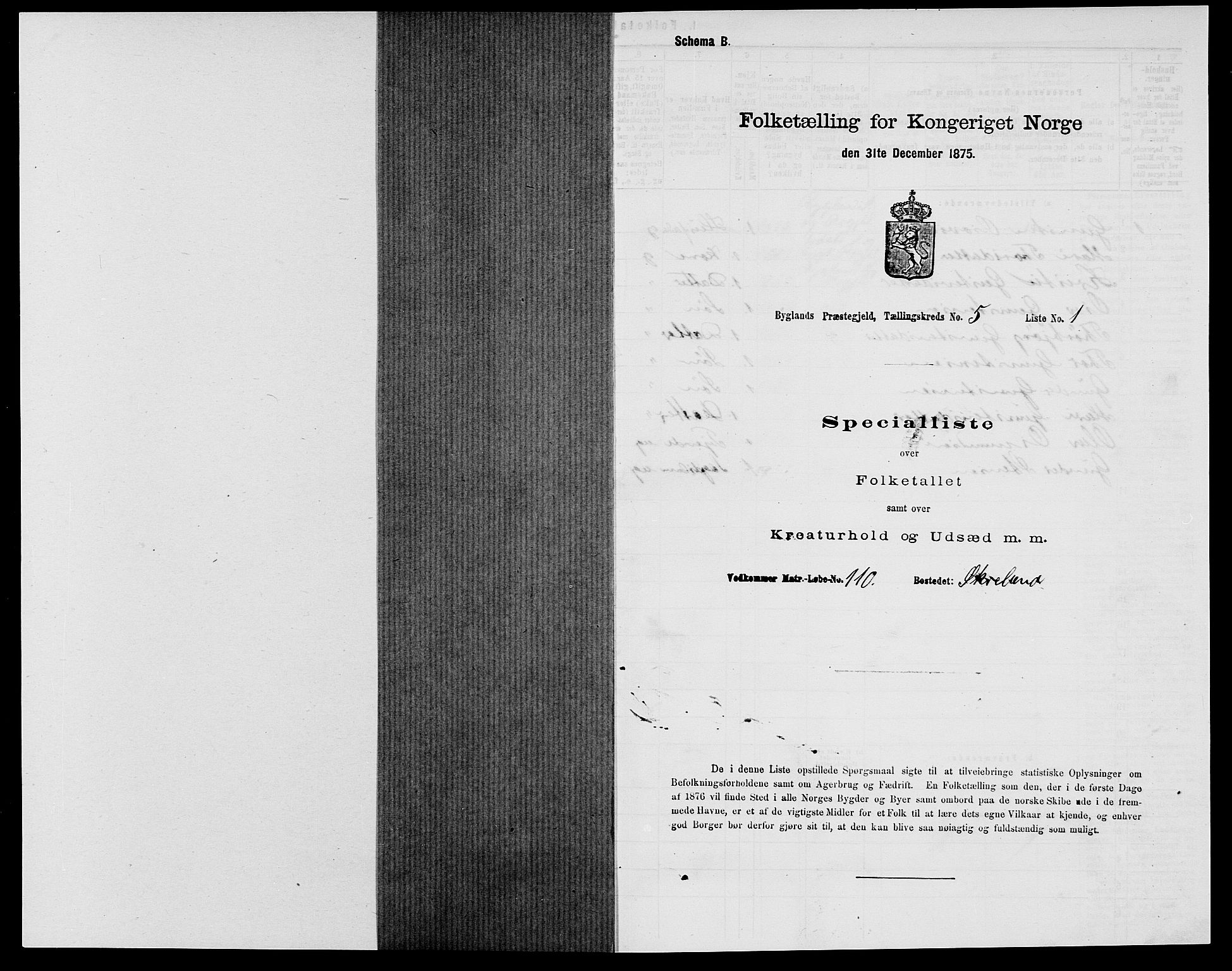 SAK, 1875 census for 0938P Bygland, 1875, p. 399