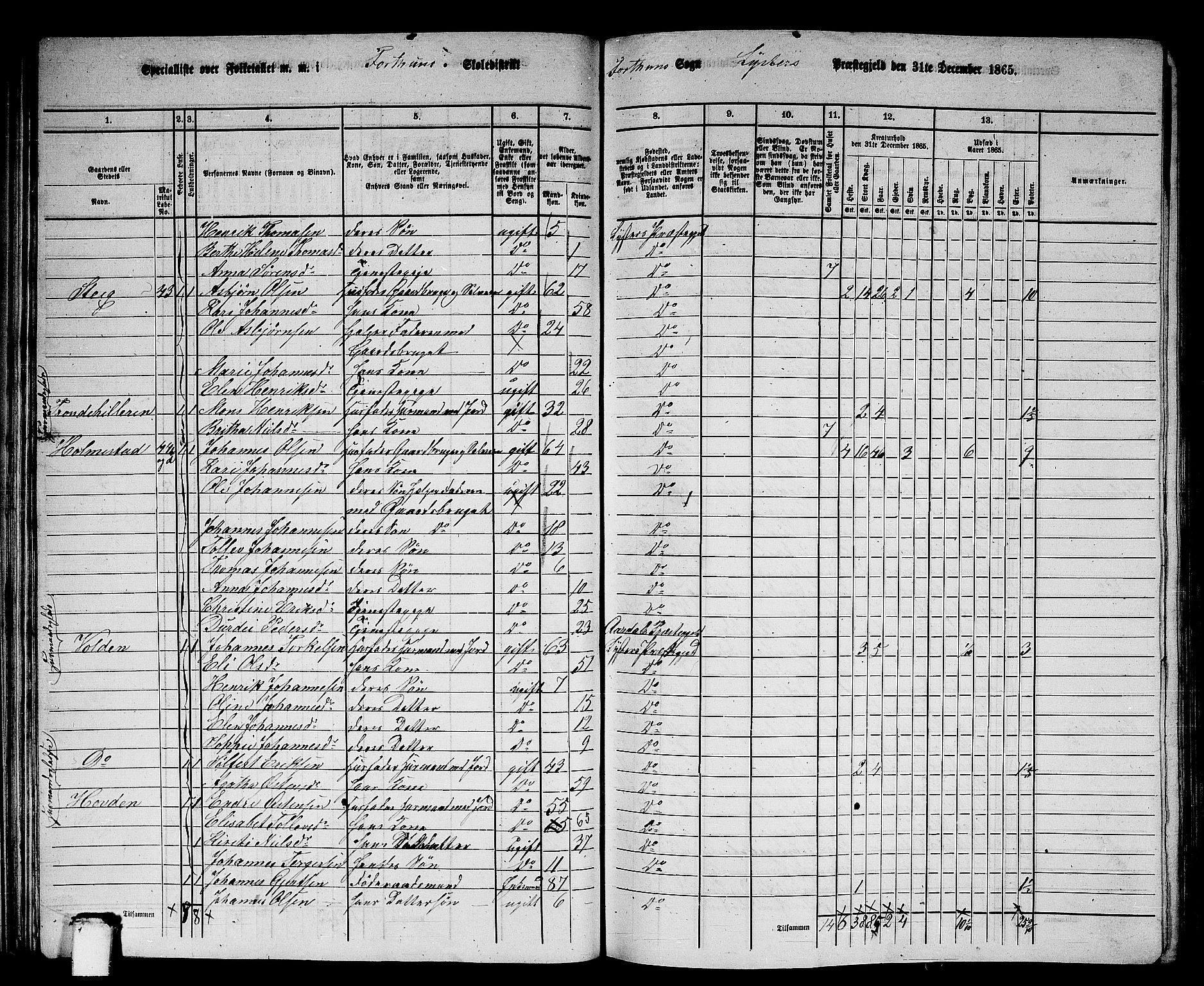 RA, 1865 census for Luster, 1865, p. 40