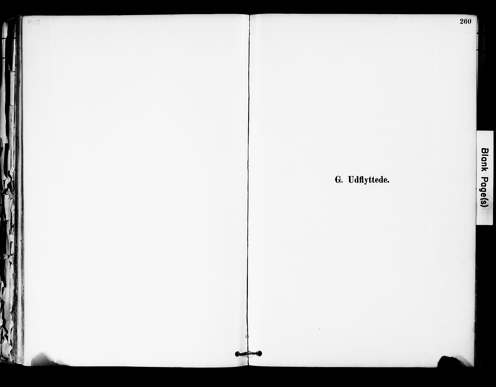 Hurum kirkebøker, SAKO/A-229/F/Fa/L0014: Parish register (official) no. 14, 1882-1895, p. 260