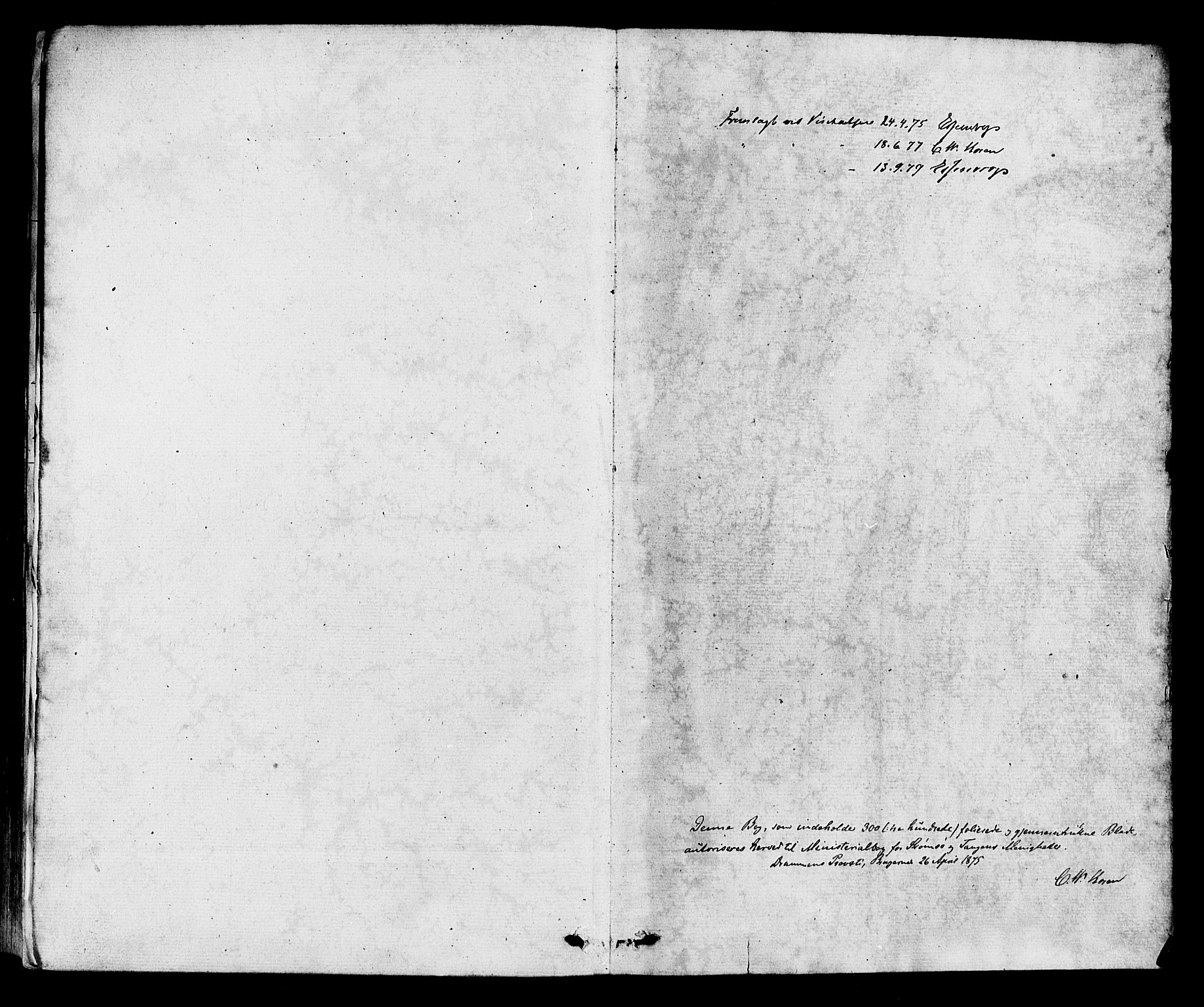 Strømsø kirkebøker, SAKO/A-246/F/Fa/L0019: Parish register (official) no. I 19, 1874-1877