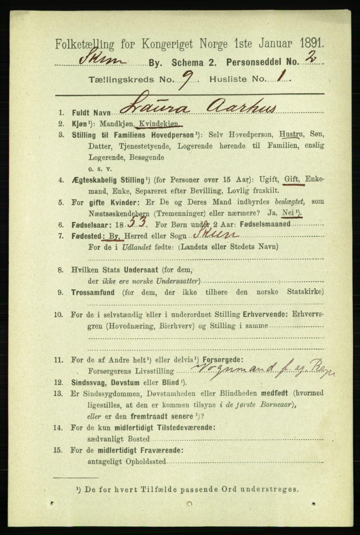 RA, 1891 census for 0806 Skien, 1891, p. 3518