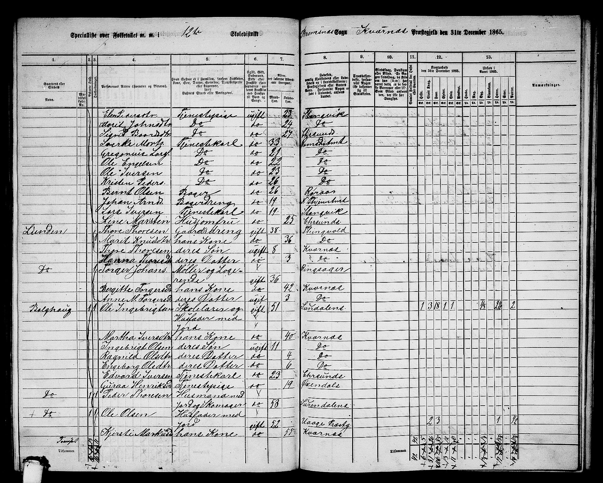 RA, 1865 census for Kvernes, 1865, p. 216