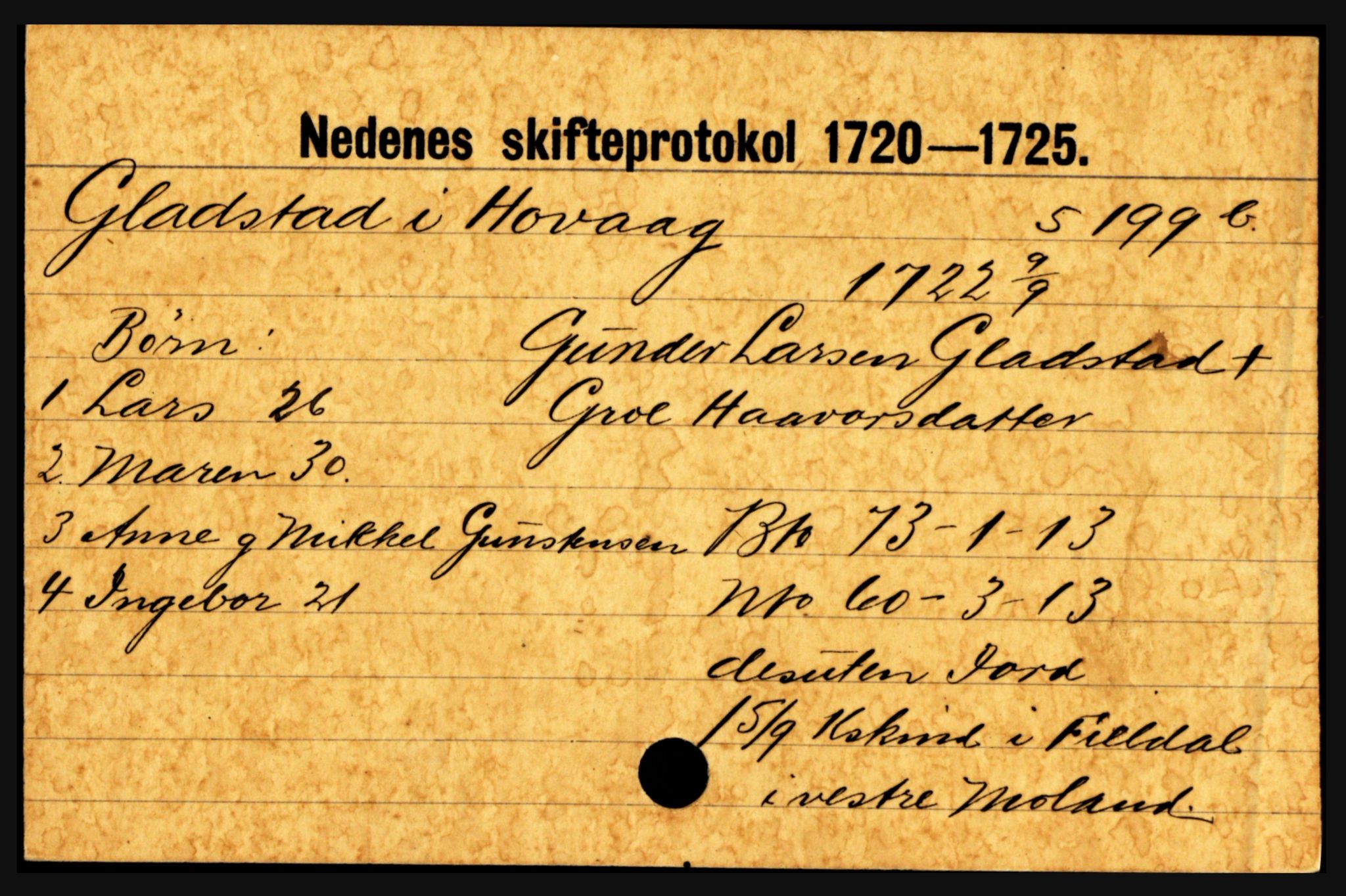 Nedenes sorenskriveri før 1824, AV/SAK-1221-0007/H, p. 9405