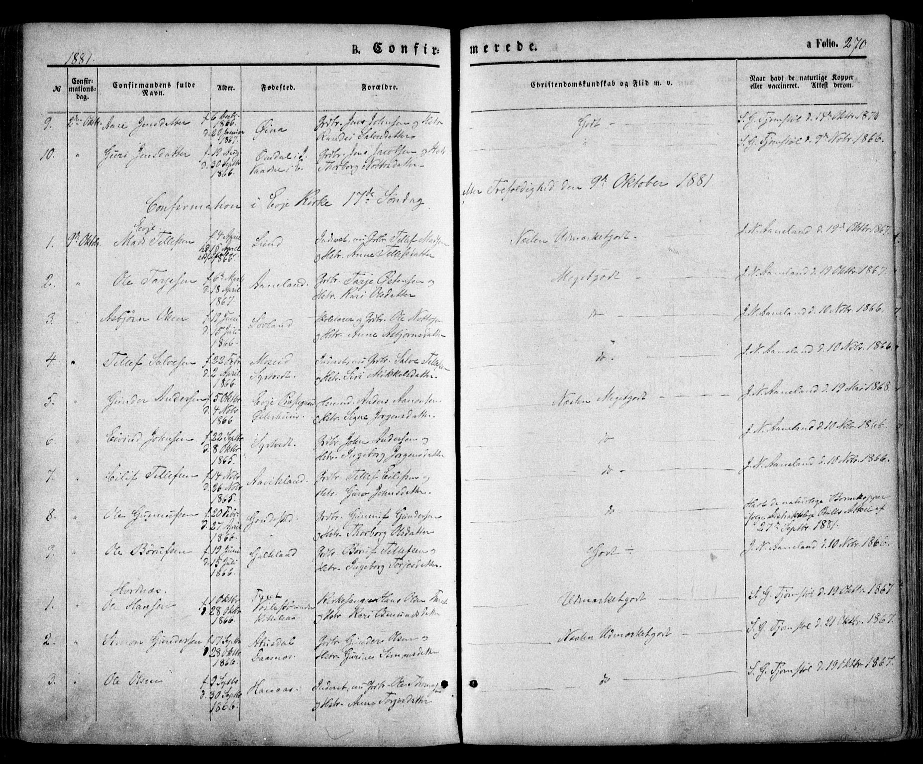 Evje sokneprestkontor, AV/SAK-1111-0008/F/Fa/Faa/L0006: Parish register (official) no. A 6, 1866-1884, p. 270