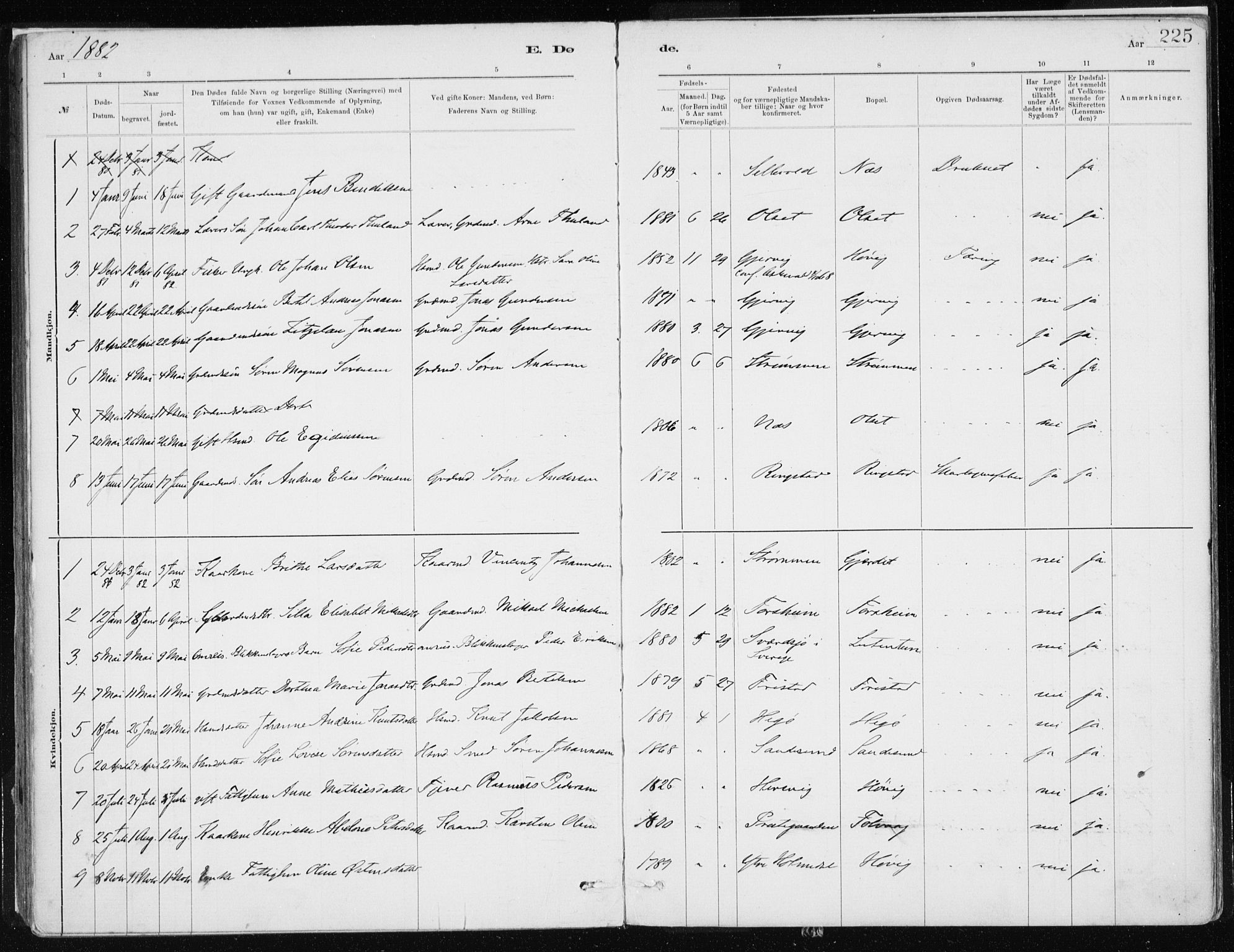 Askvoll sokneprestembete, AV/SAB-A-79501/H/Haa/Haab/L0002: Parish register (official) no. B 2, 1879-1909, p. 225