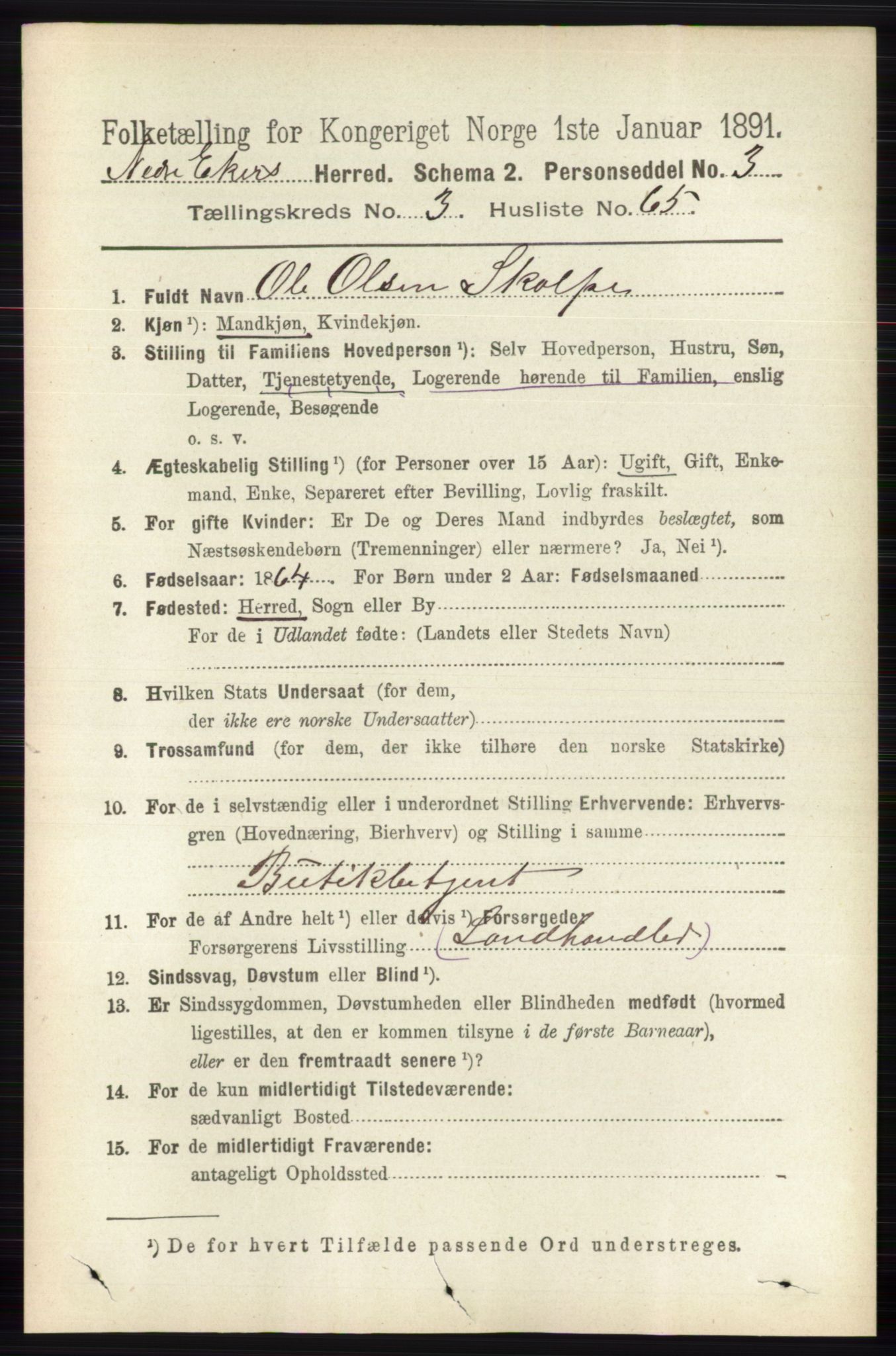 RA, 1891 census for 0625 Nedre Eiker, 1891, p. 1541