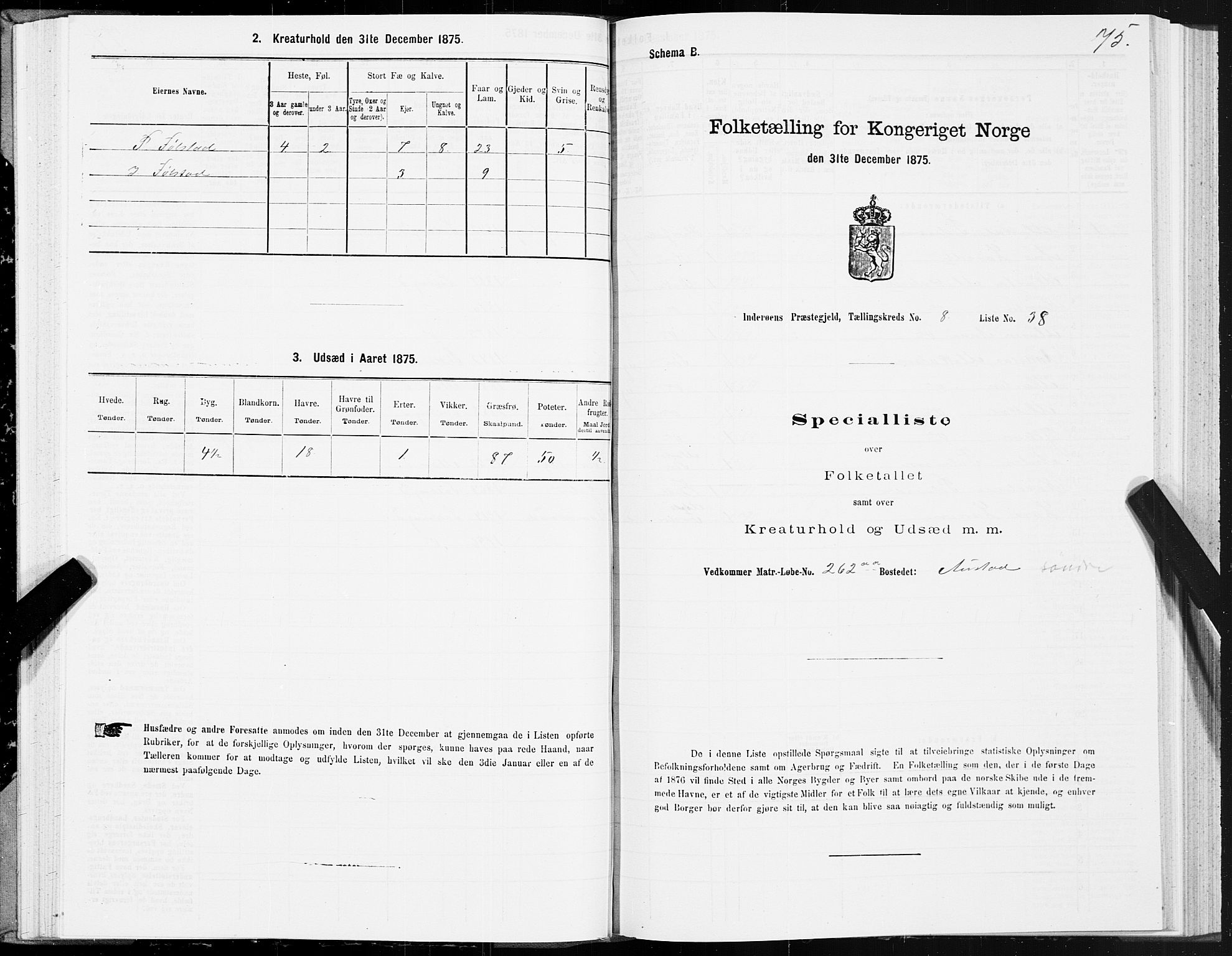 SAT, 1875 census for 1729P Inderøy, 1875, p. 5075