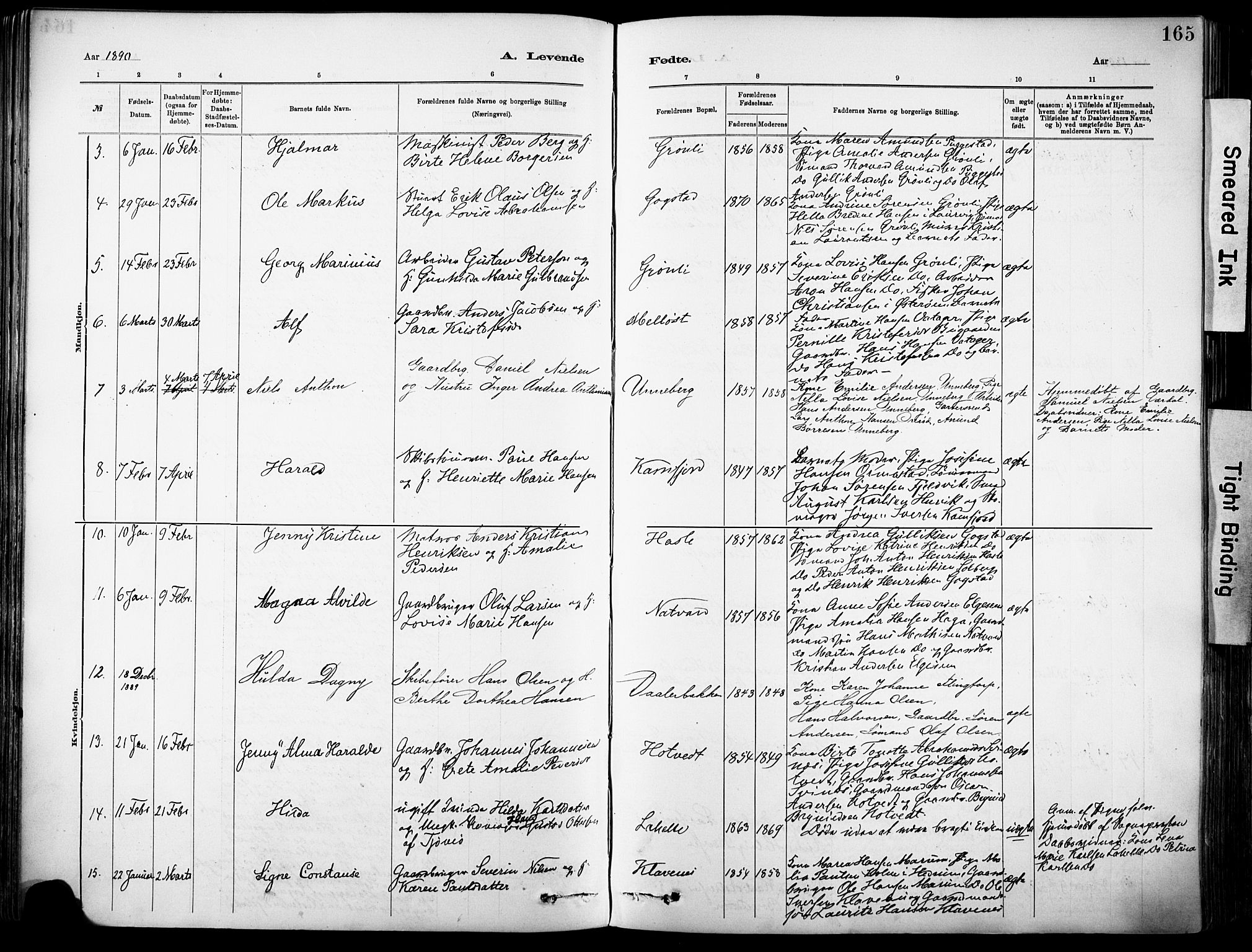 Sandar kirkebøker, AV/SAKO-A-243/F/Fa/L0012: Parish register (official) no. 12, 1883-1895, p. 165