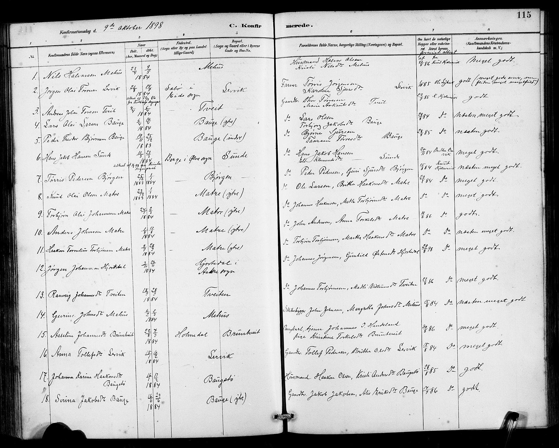 Husnes Sokneprestembete, SAB/A-75901/H/Hab: Parish register (copy) no. B 2, 1884-1914, p. 115