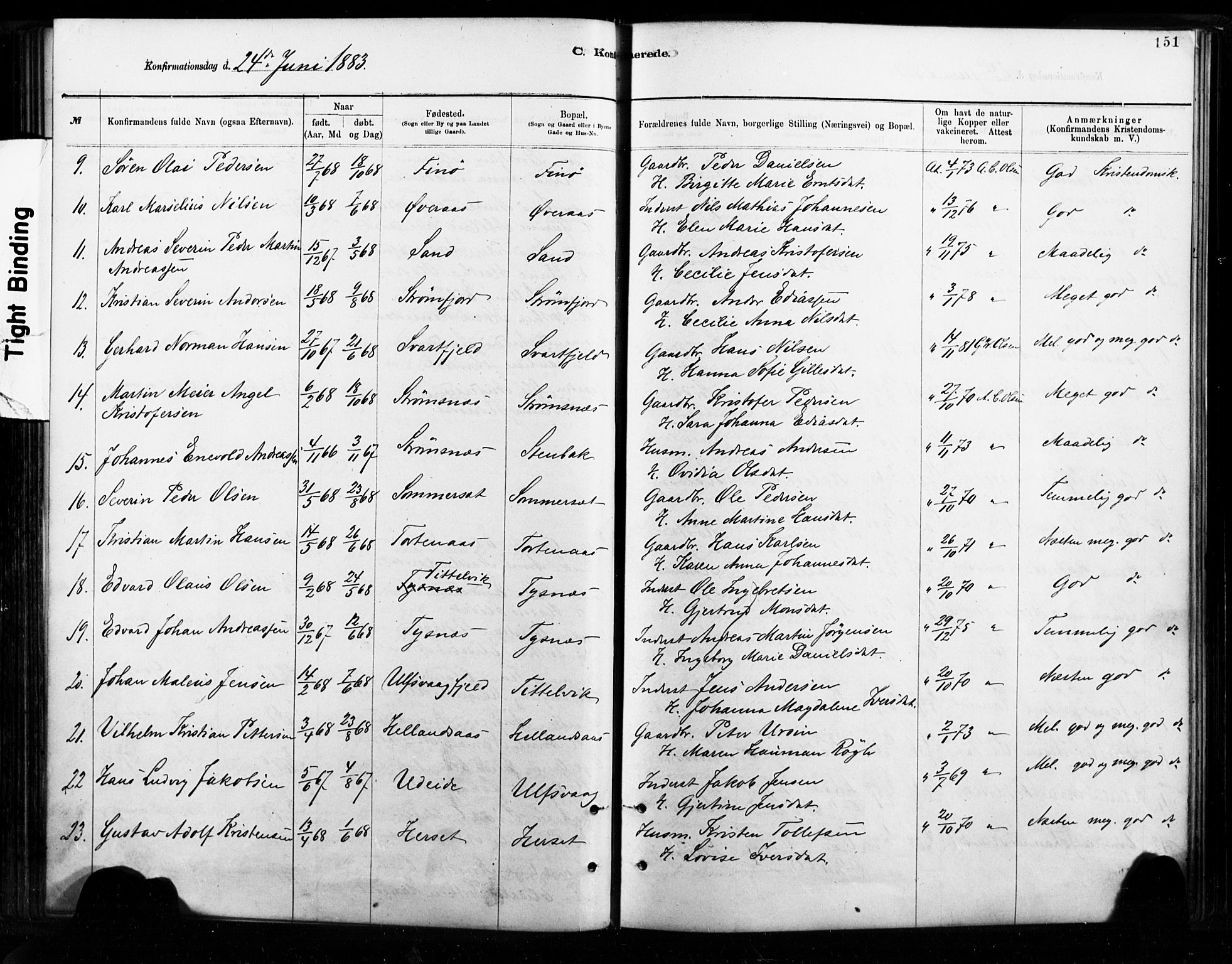 Ministerialprotokoller, klokkerbøker og fødselsregistre - Nordland, AV/SAT-A-1459/859/L0846: Parish register (official) no. 859A06, 1878-1889, p. 151