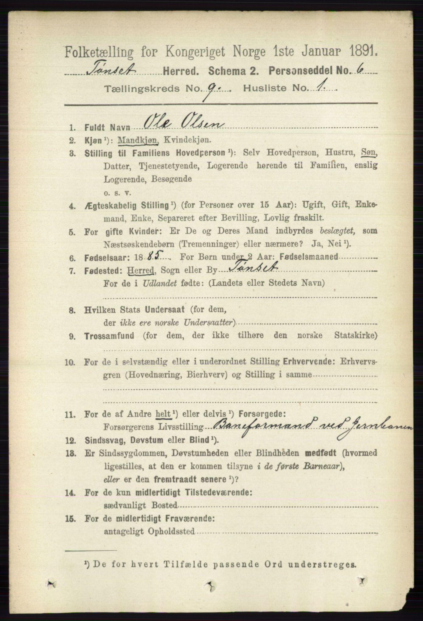 RA, 1891 census for 0437 Tynset, 1891, p. 2425