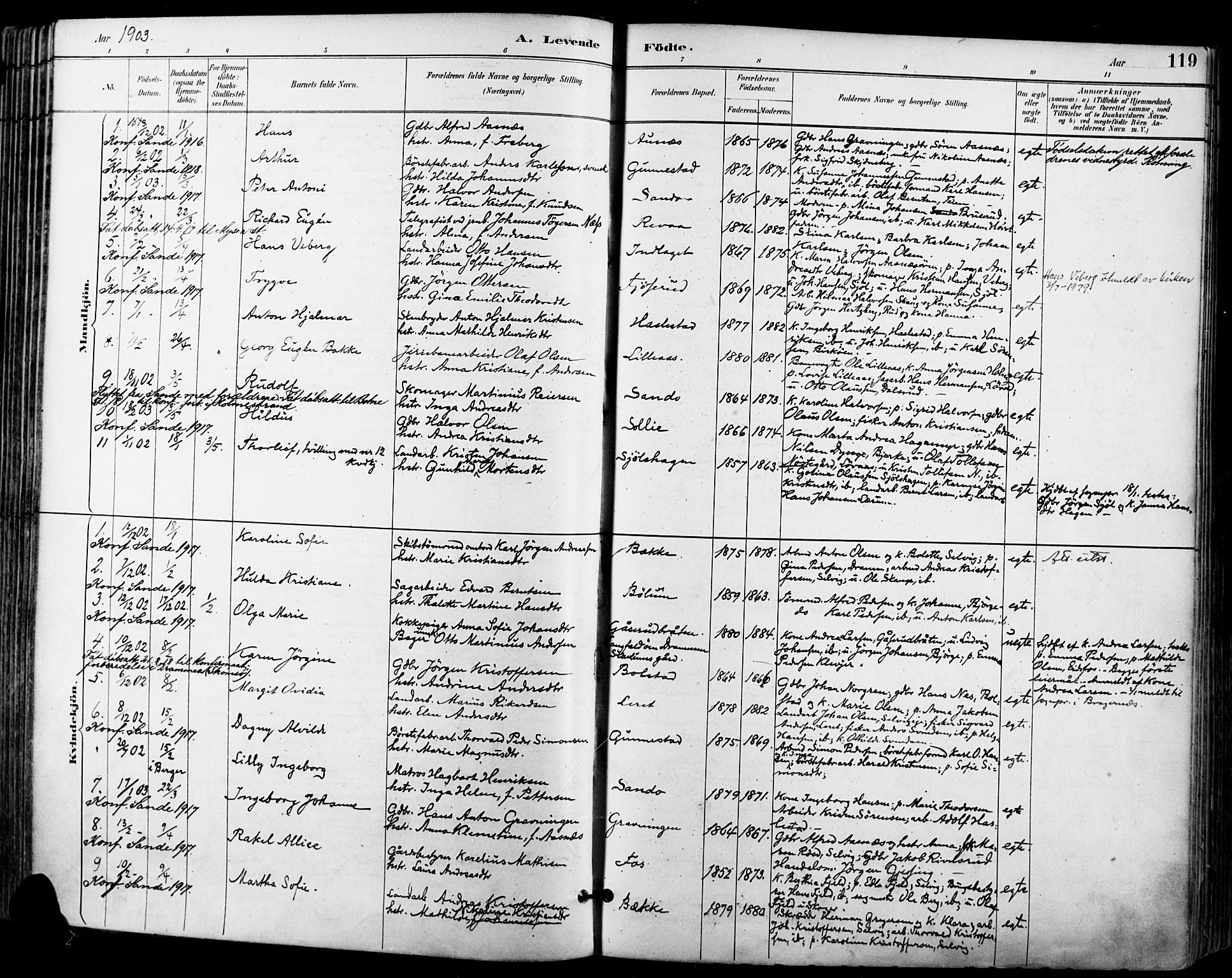 Sande Kirkebøker, AV/SAKO-A-53/F/Fa/L0007: Parish register (official) no. 7, 1888-1903, p. 119