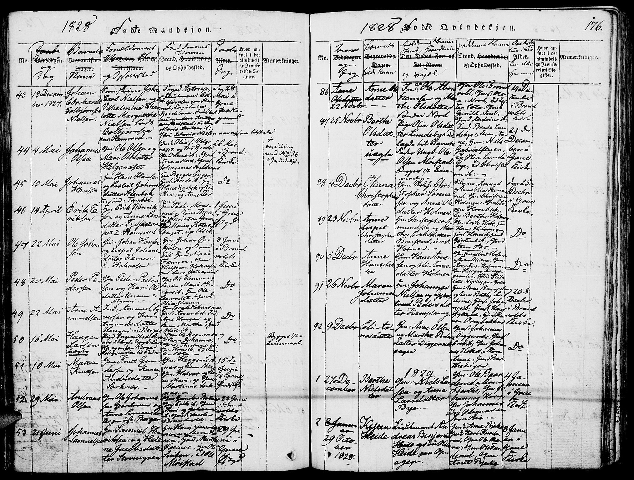 Grue prestekontor, SAH/PREST-036/H/Ha/Haa/L0006: Parish register (official) no. 6, 1814-1830, p. 176