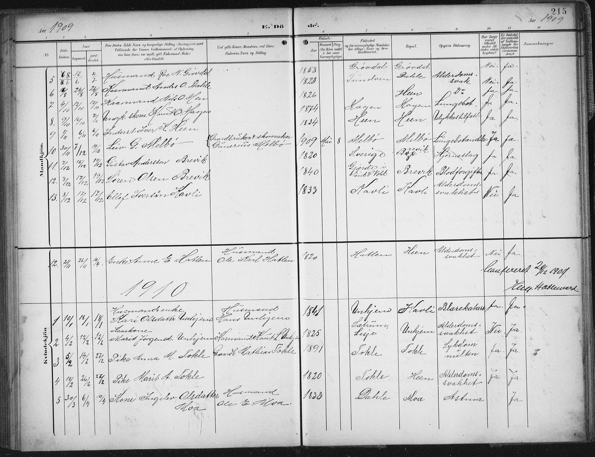 Ministerialprotokoller, klokkerbøker og fødselsregistre - Møre og Romsdal, SAT/A-1454/545/L0589: Parish register (copy) no. 545C03, 1902-1937, p. 215